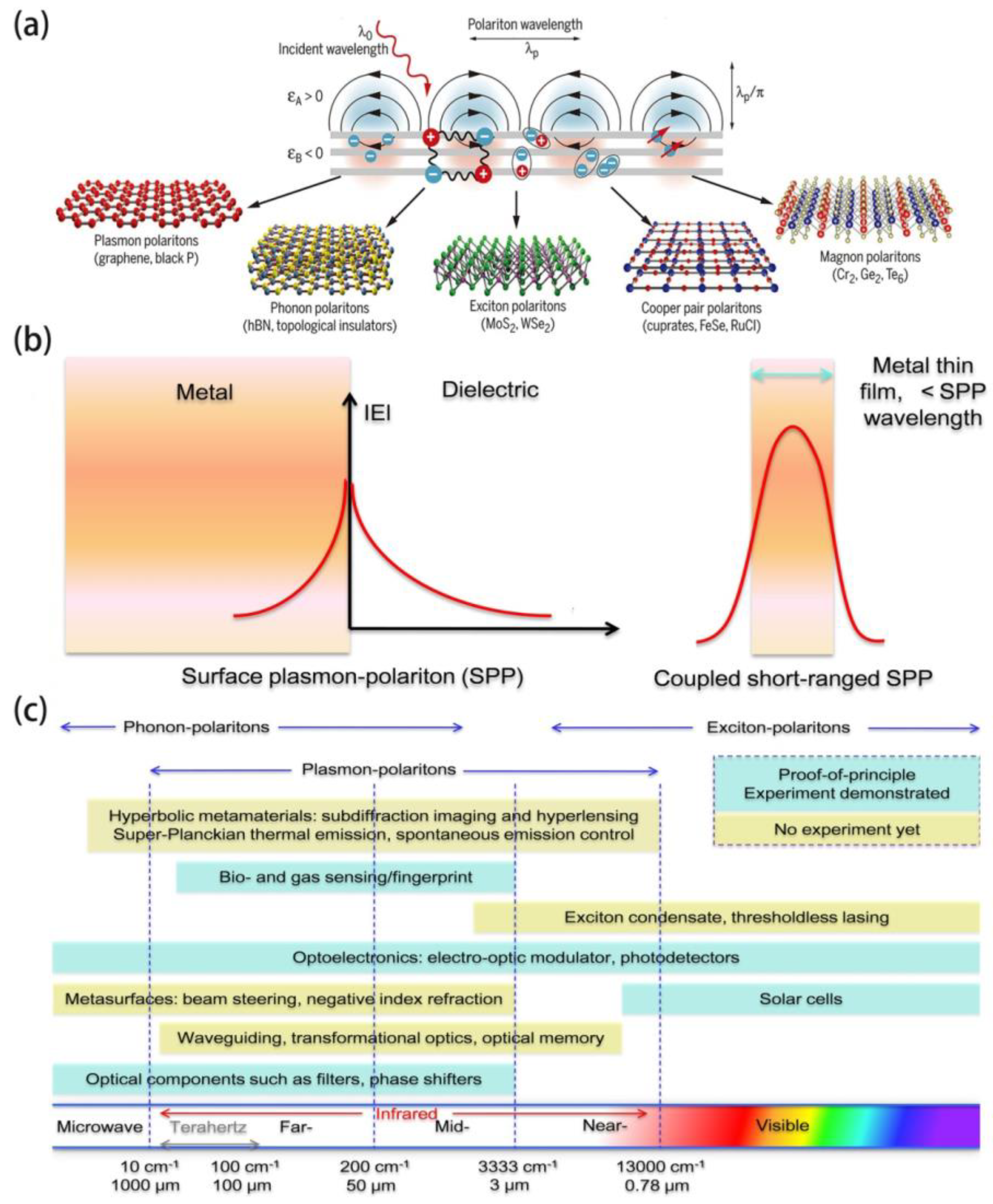 Molecules 26 04651 g001