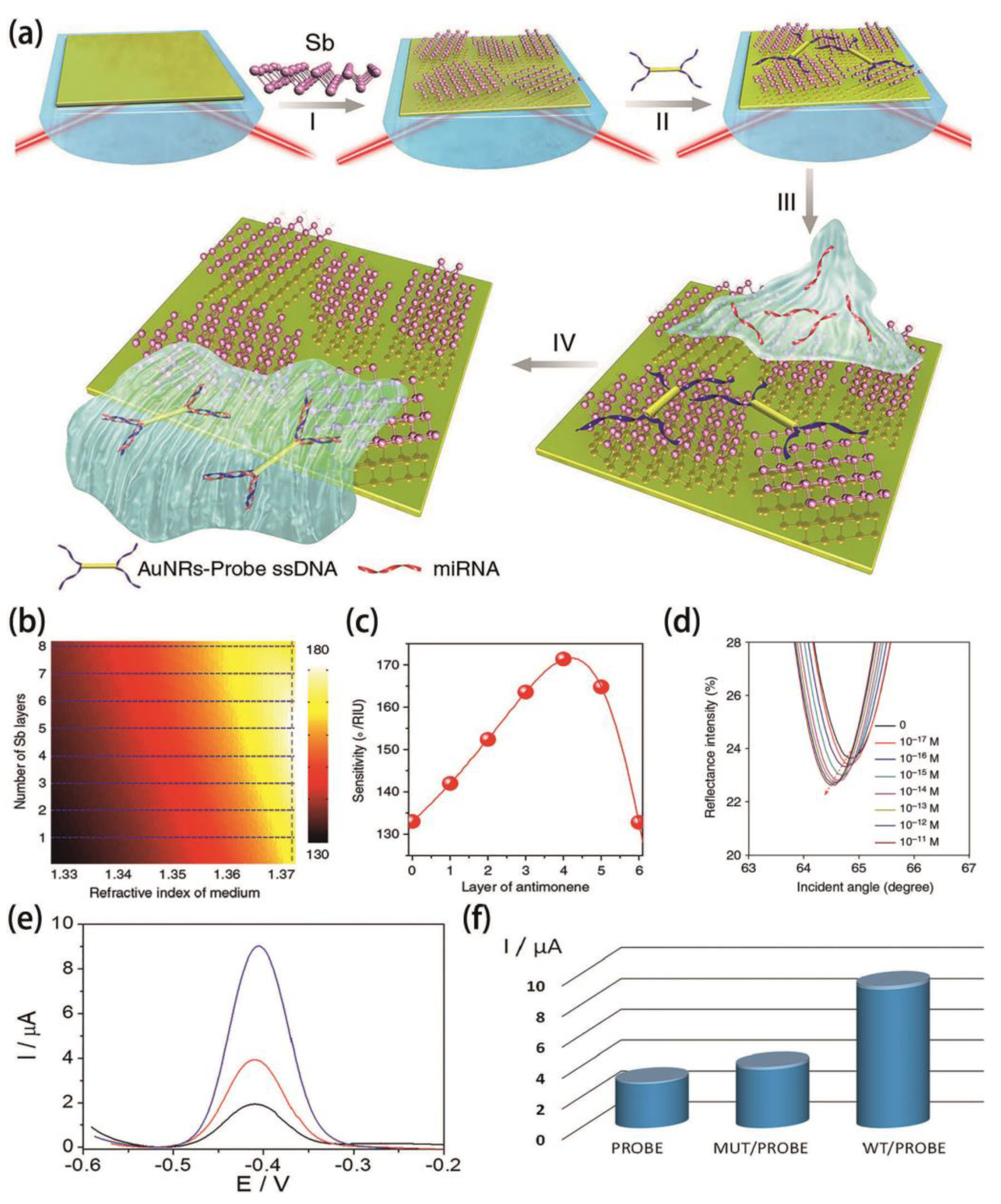 Molecules 26 04651 g005