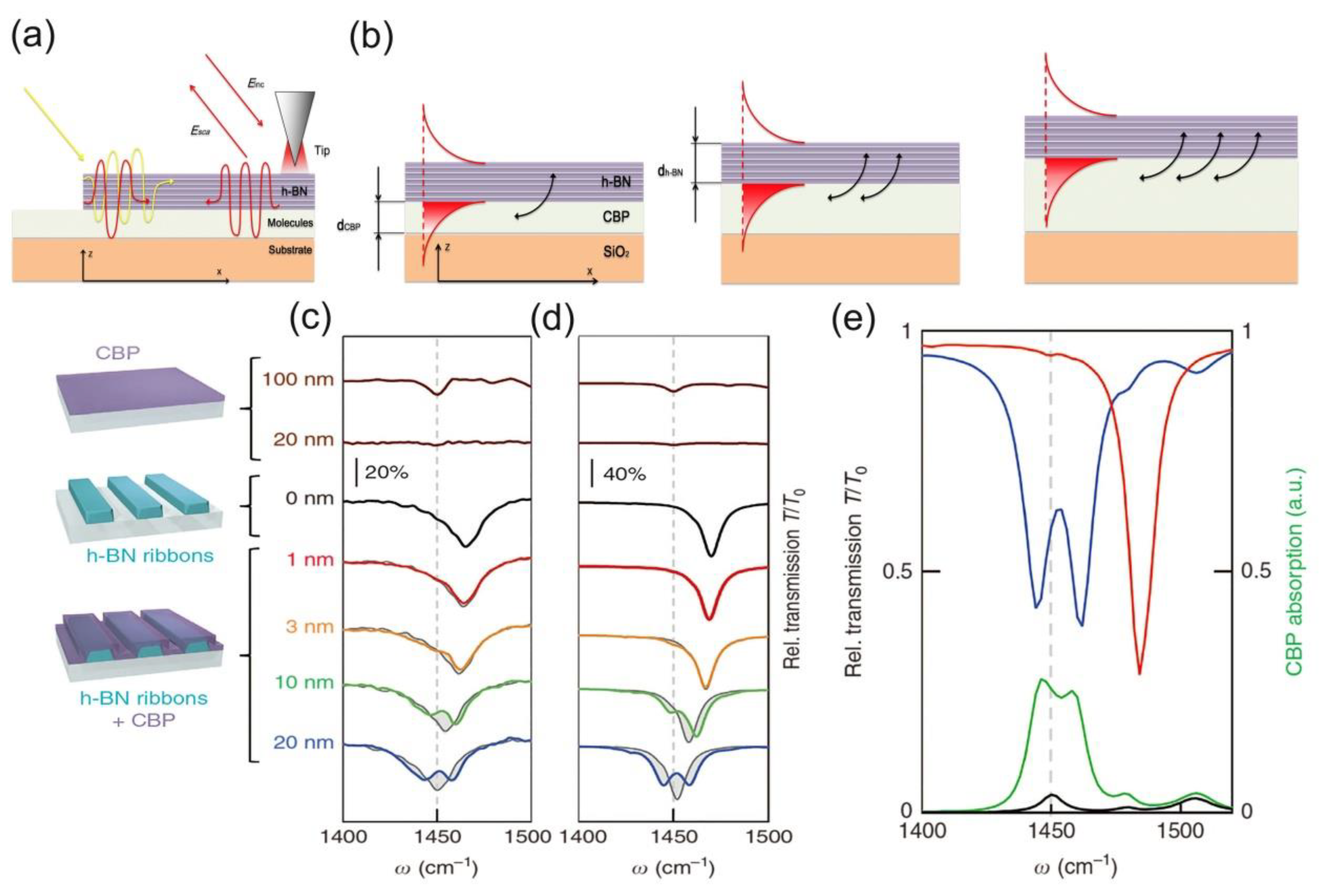 Molecules 26 04651 g006