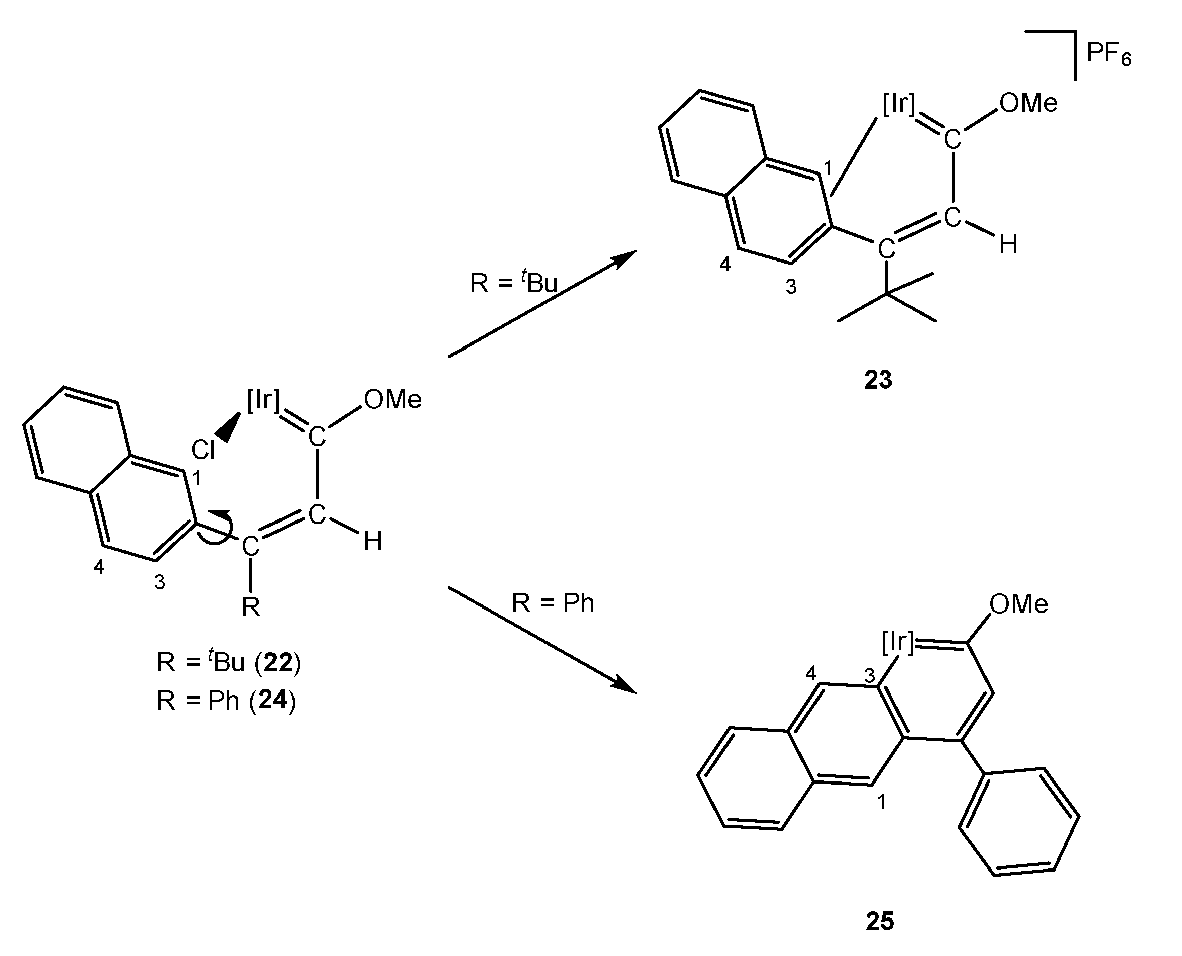 Molecules 26 04655 sch007