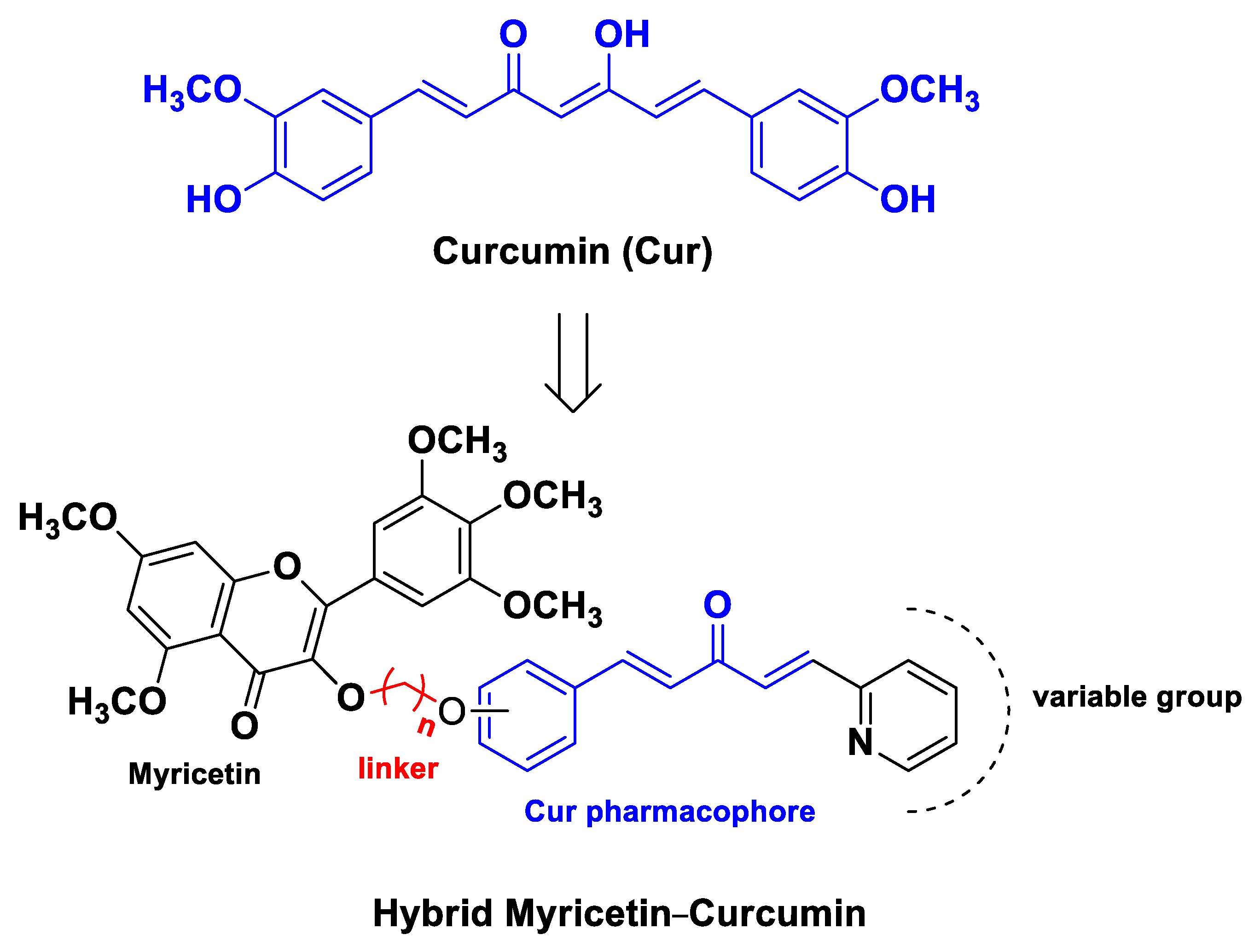 Molecules 26 04665 g003 Molecules 26 04665 g003