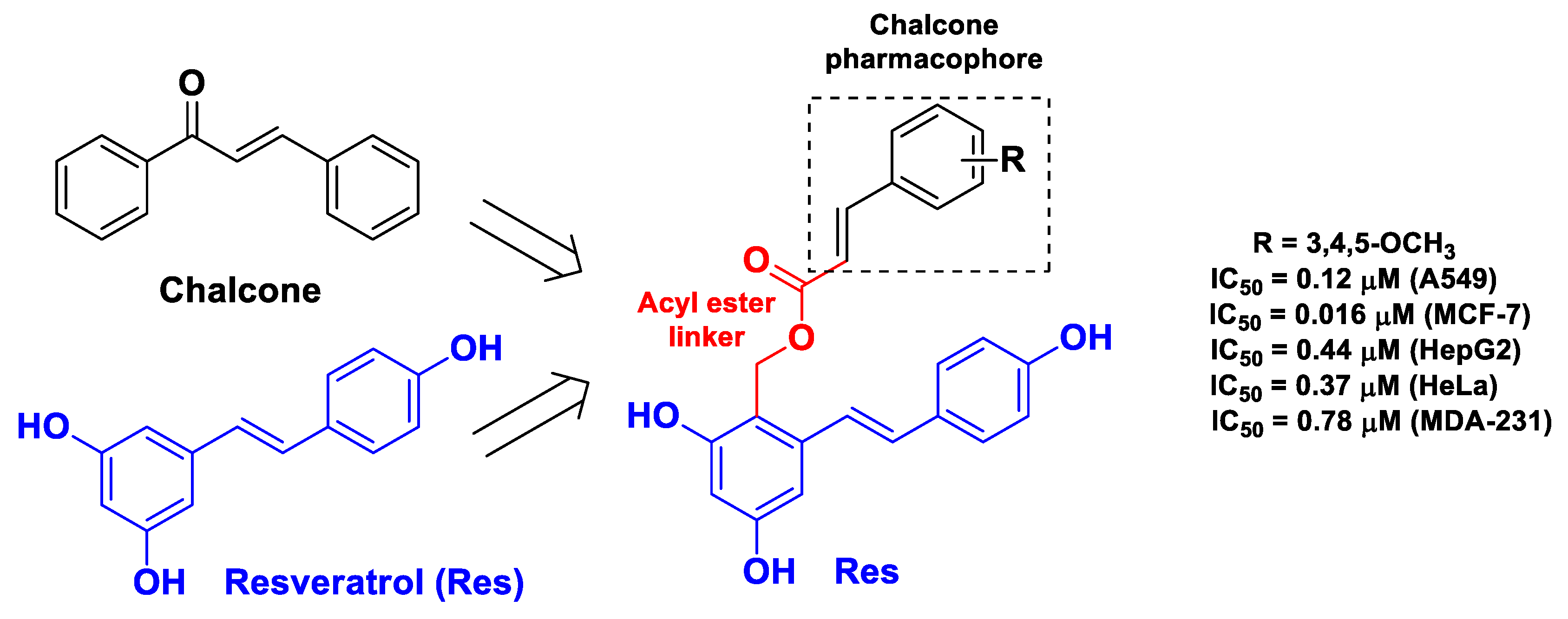 Molecules 26 04665 g005 Molecules 26 04665 g005