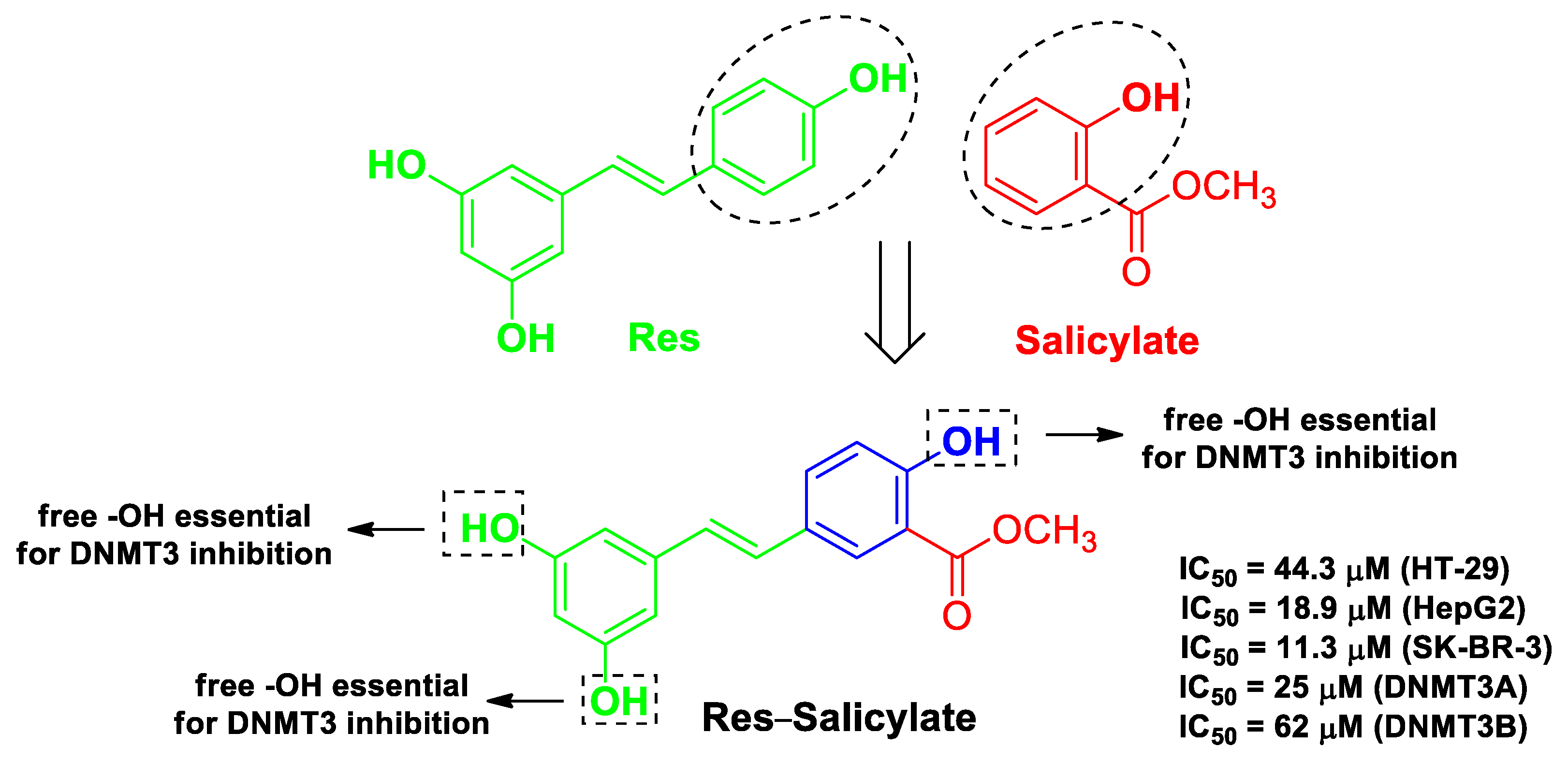 Molecules 26 04665 g009 Molecules 26 04665 g009