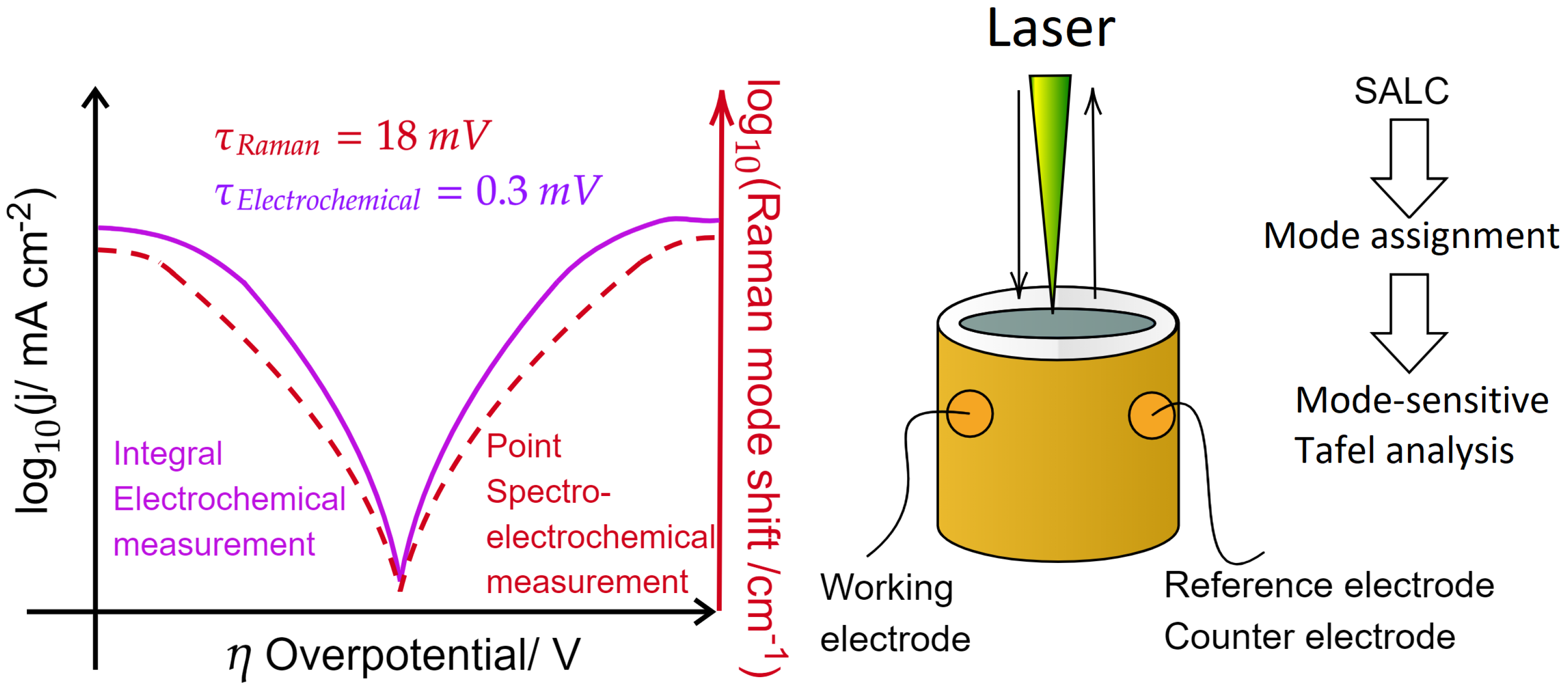 Molecules 26 04667 g001