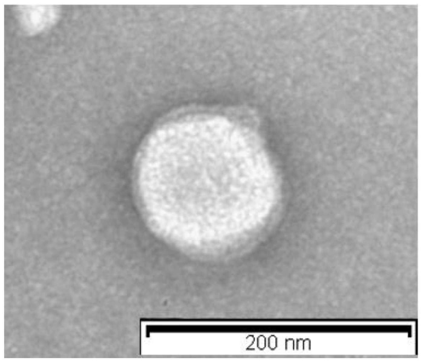 Molecules 26 04673 g002