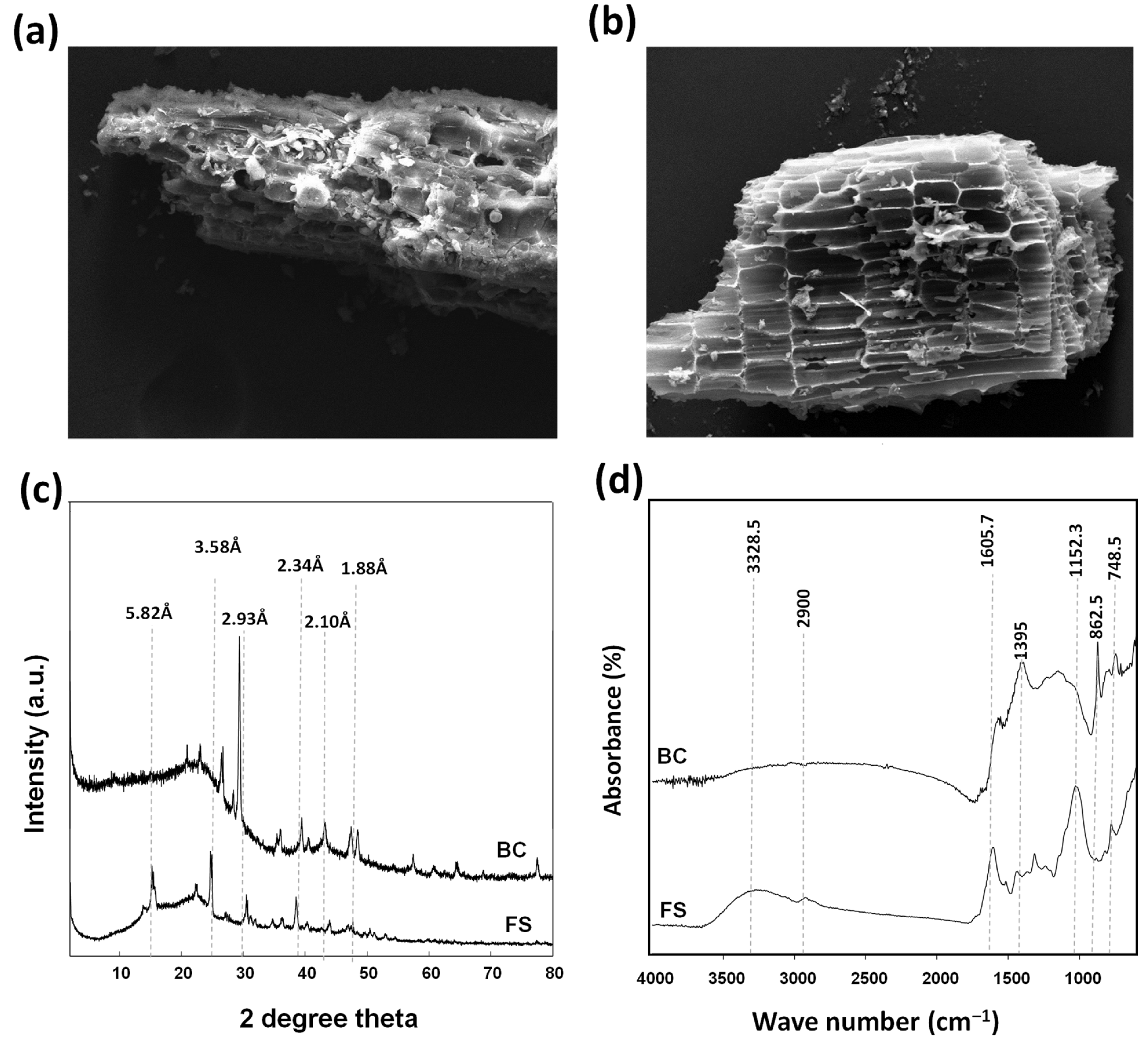 Molecules 26 04674 g001