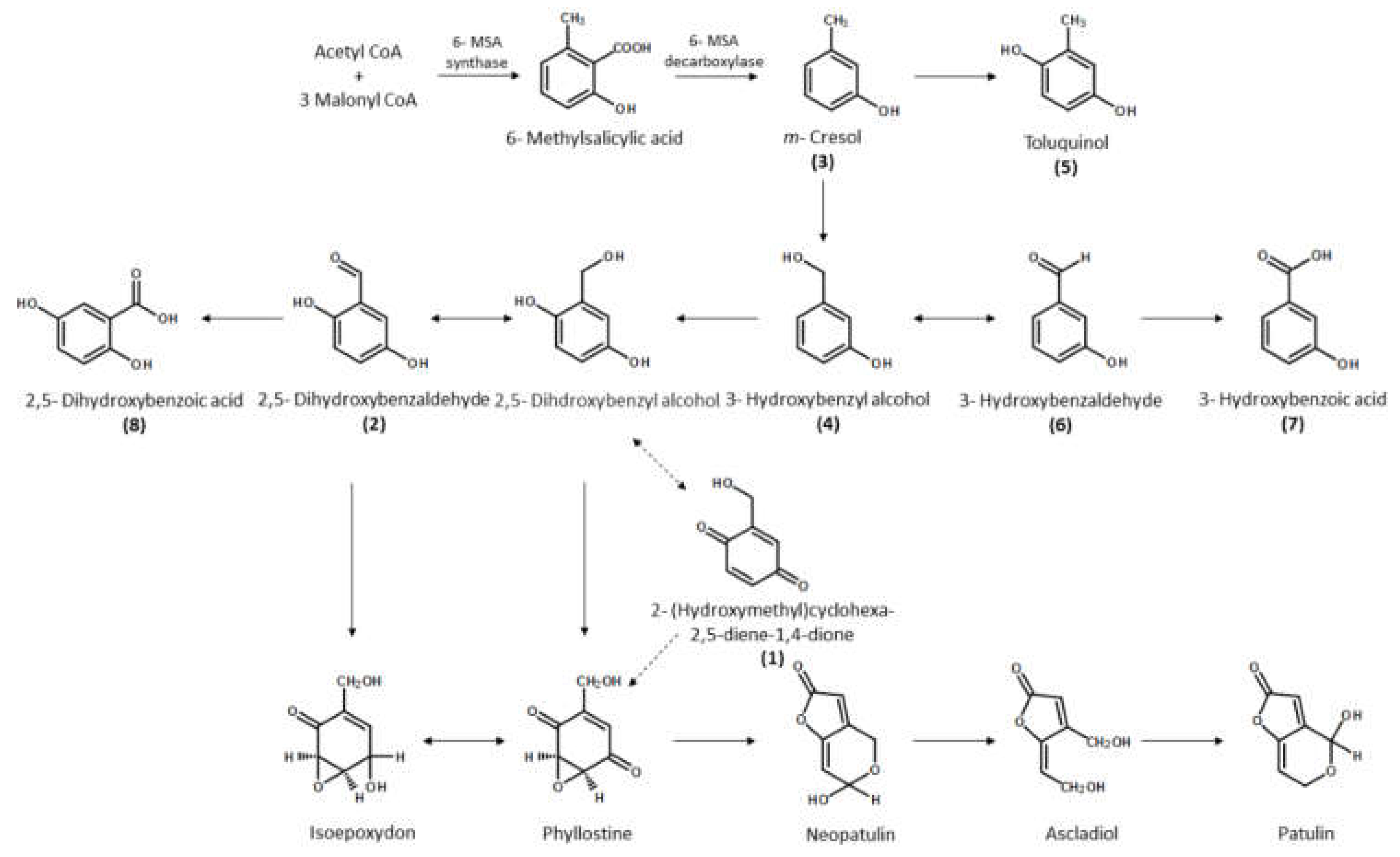 Molecules 26 04675 g002 Molecules 26 04675 g002