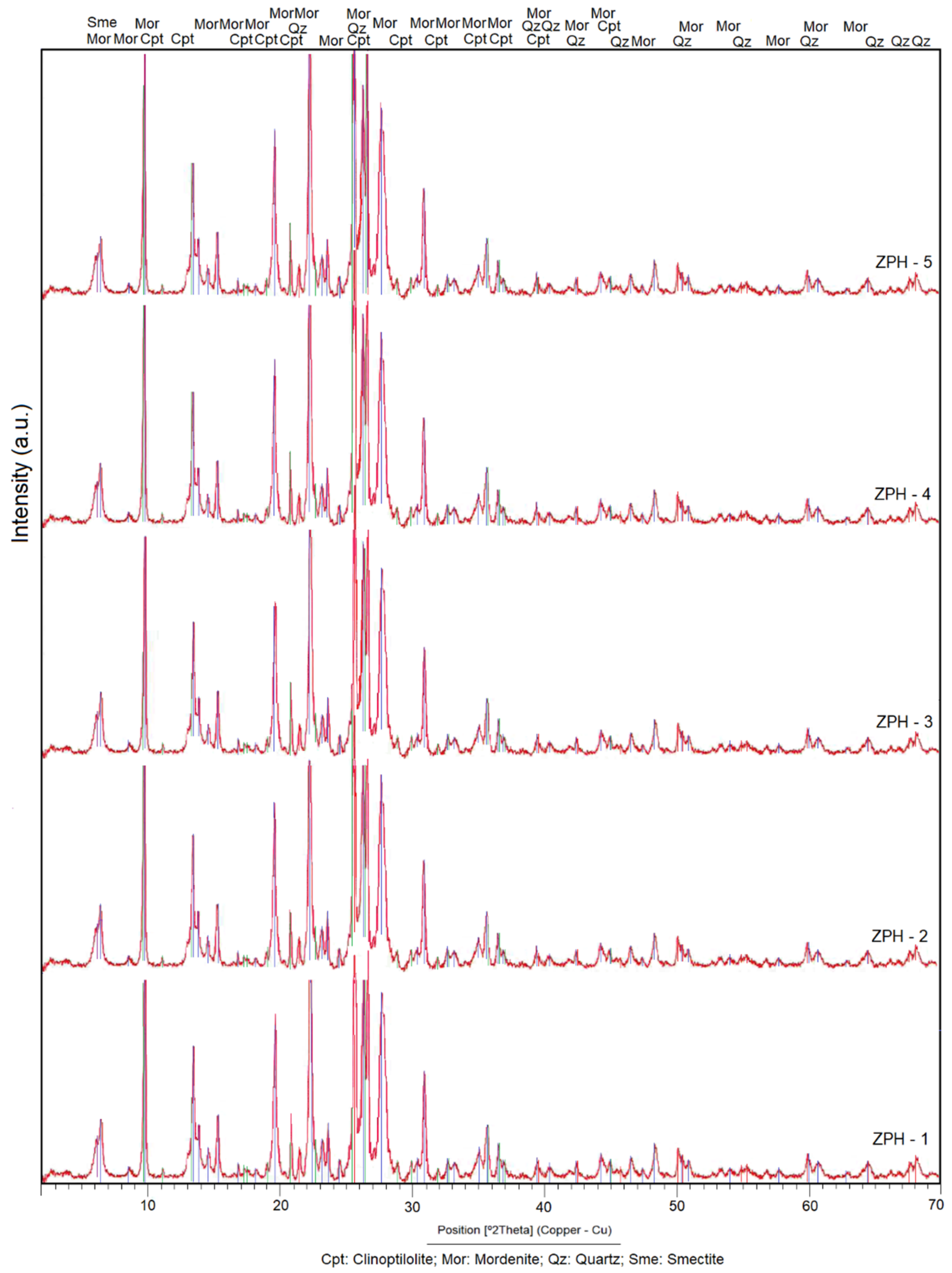 Molecules 26 04676 g002