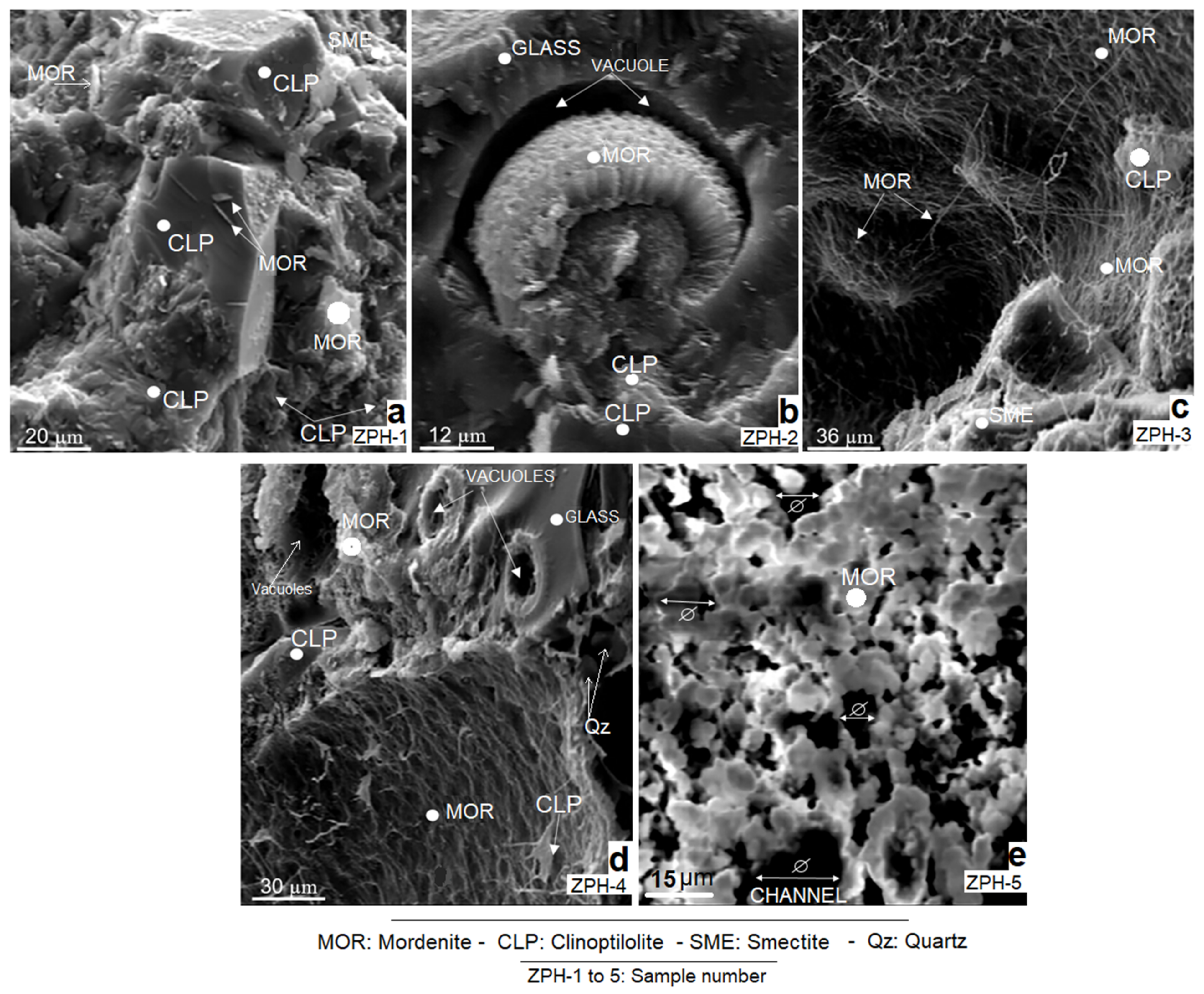 Molecules 26 04676 g003