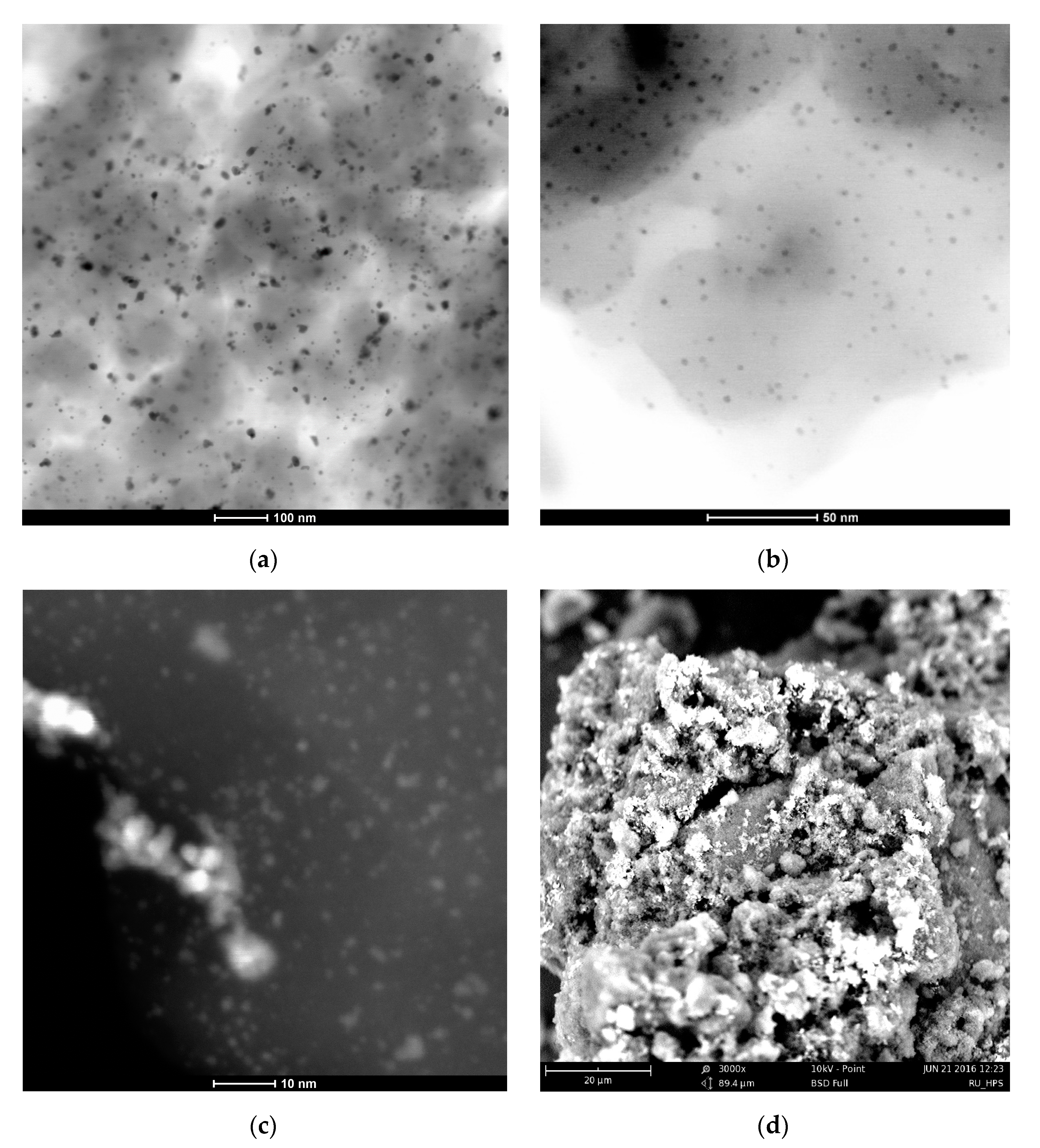 Molecules 26 04687 g014