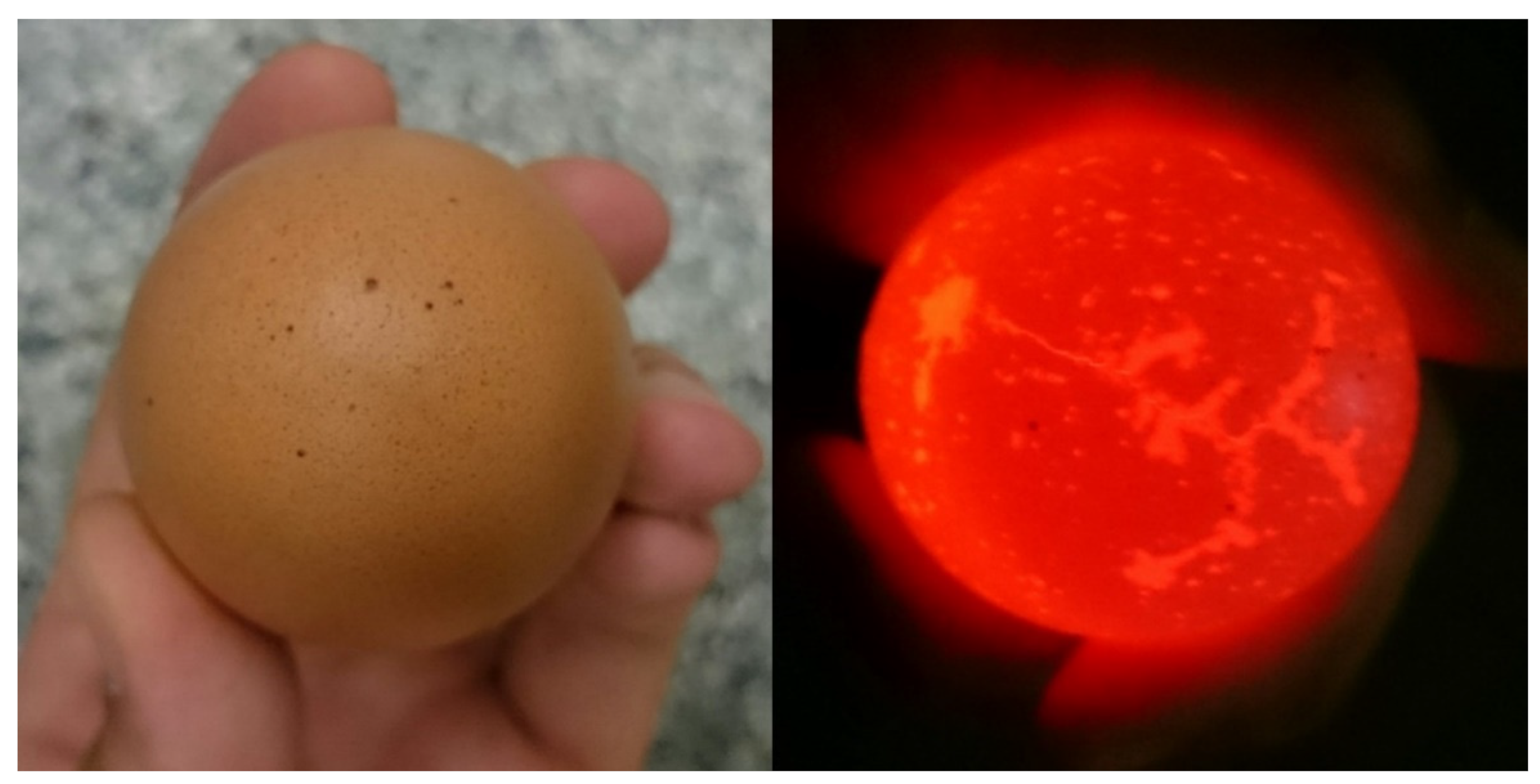 Molecules 26 04693 g003