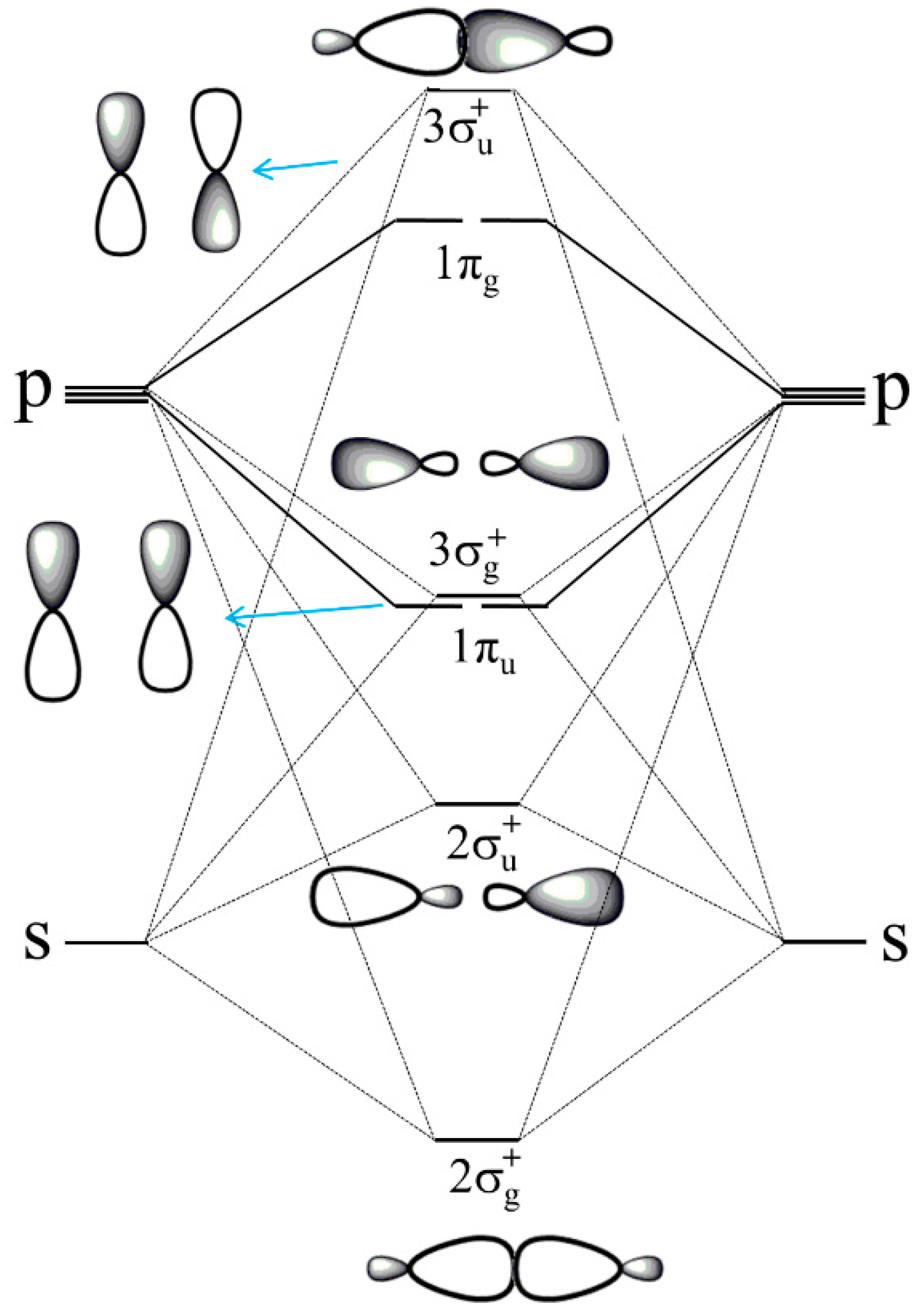 Molecules 26 04695 g002 Molecules 26 04695 g002