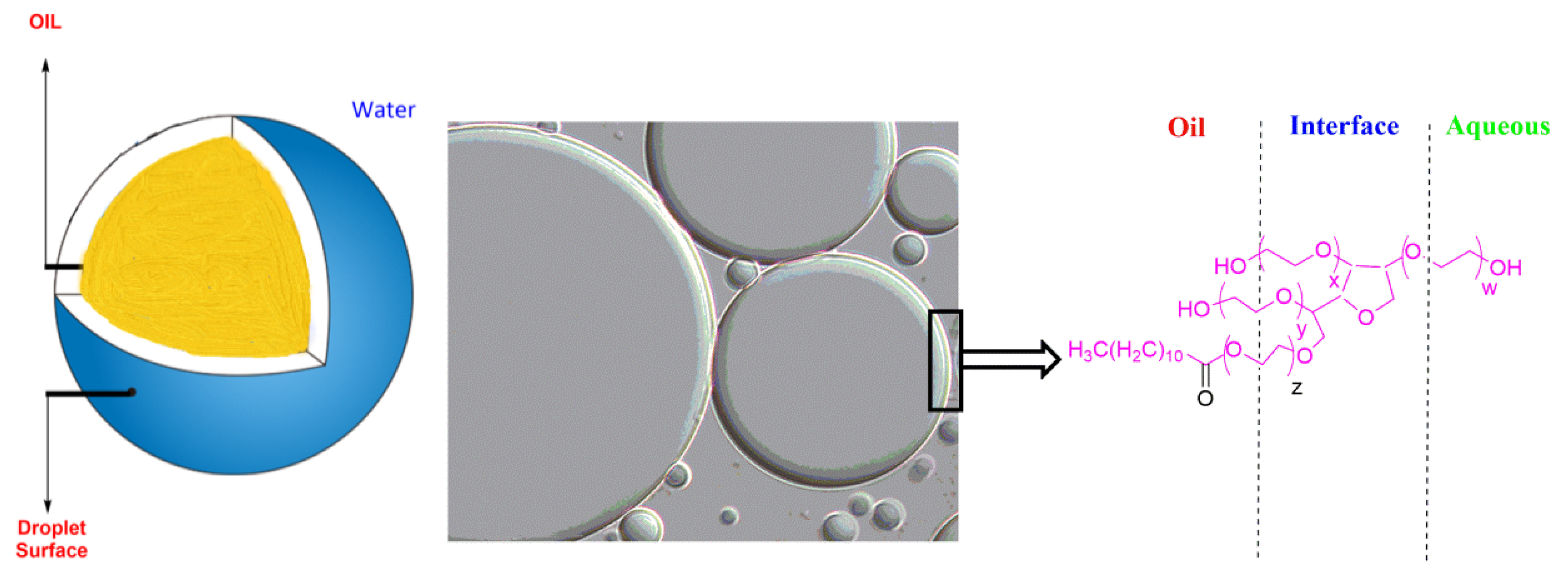 Molecules 26 04703 g001