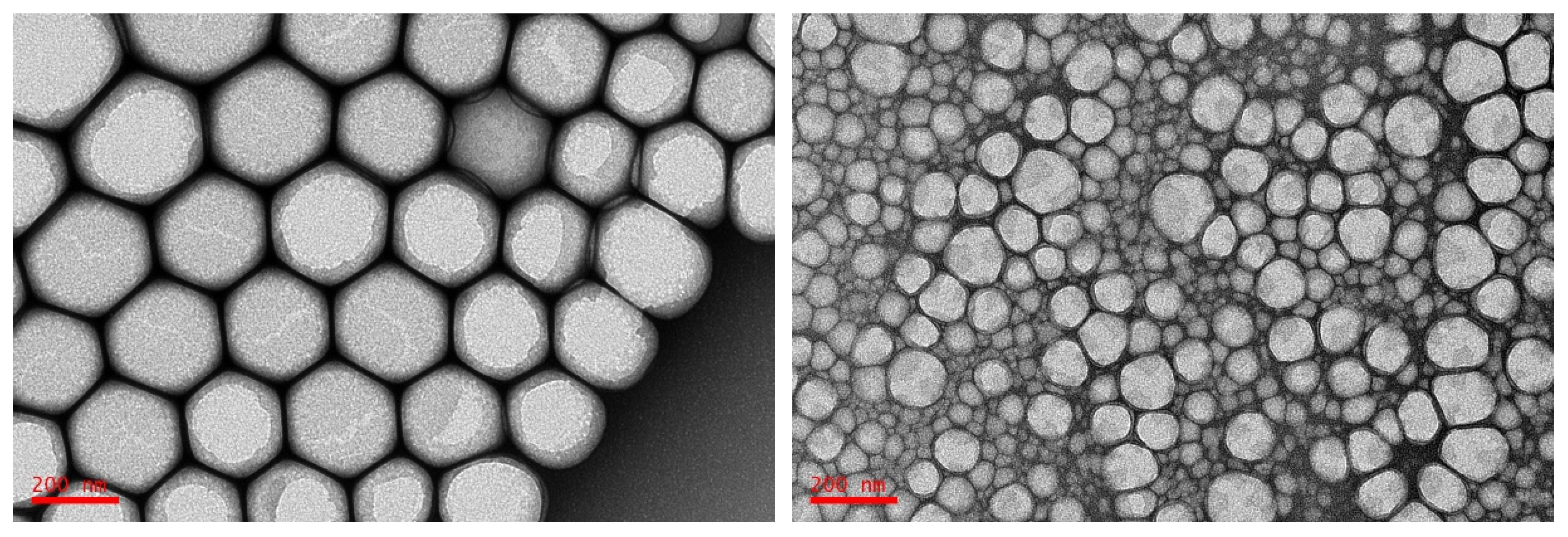 Molecules 26 04703 g002