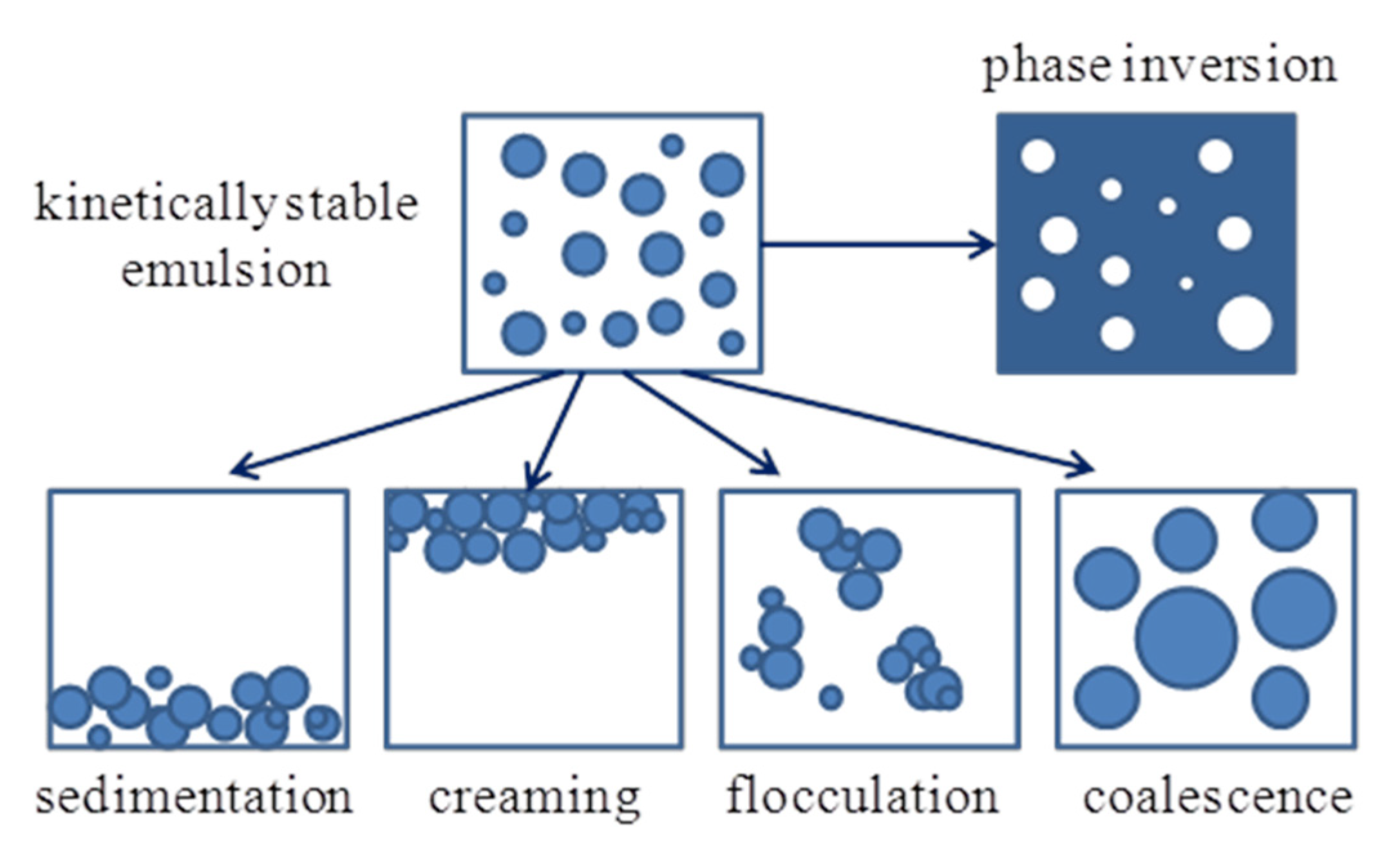 Molecules 26 04703 sch003