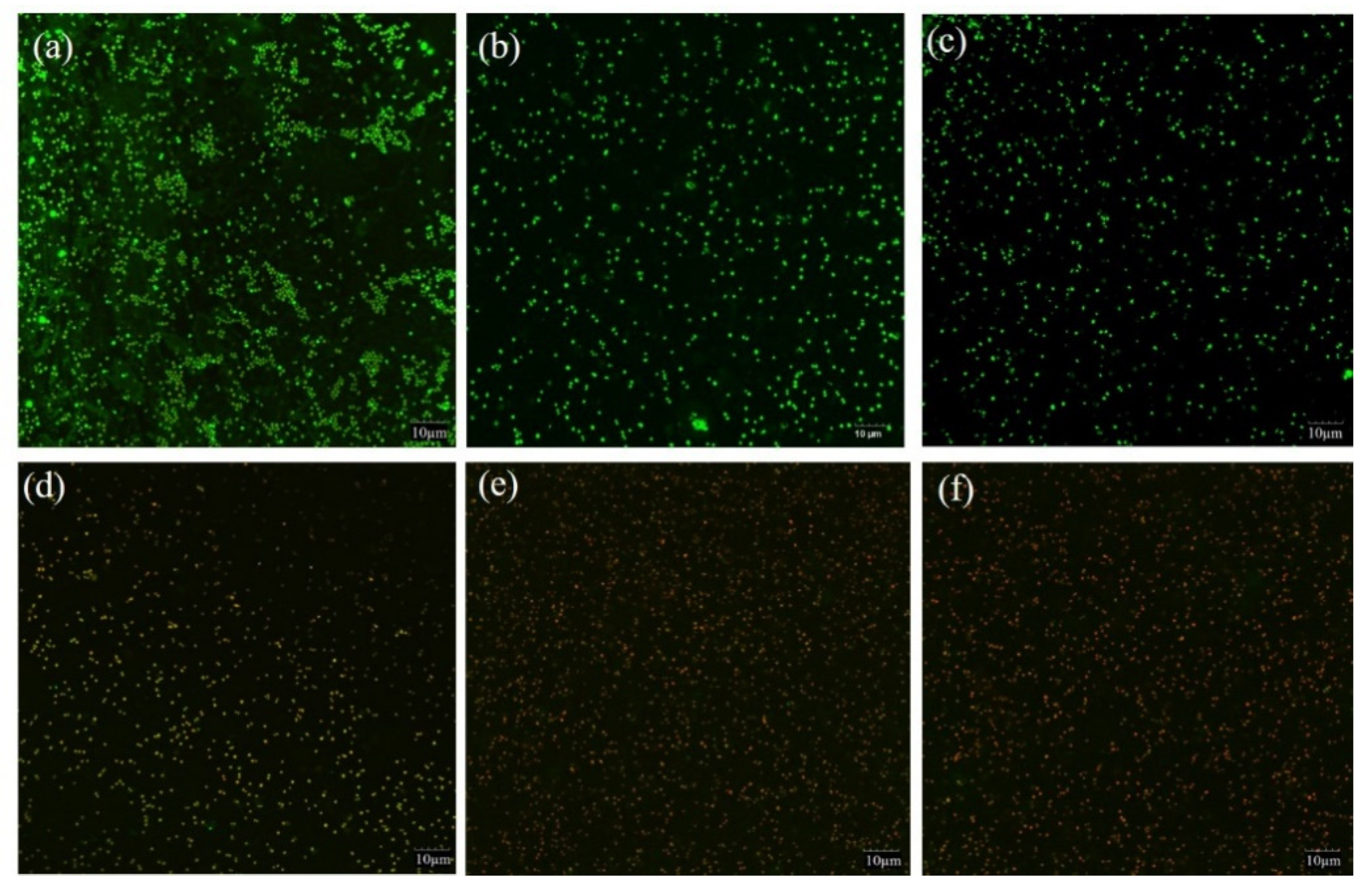 Molecules 26 04713 g004