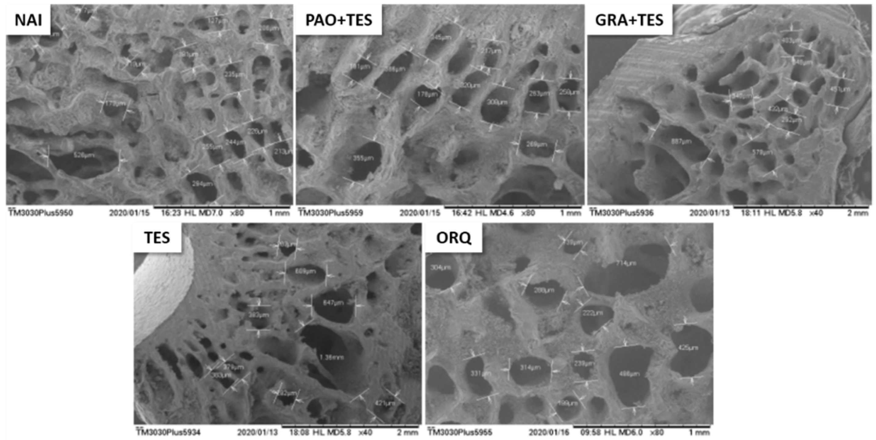 Molecules 26 04720 g004
