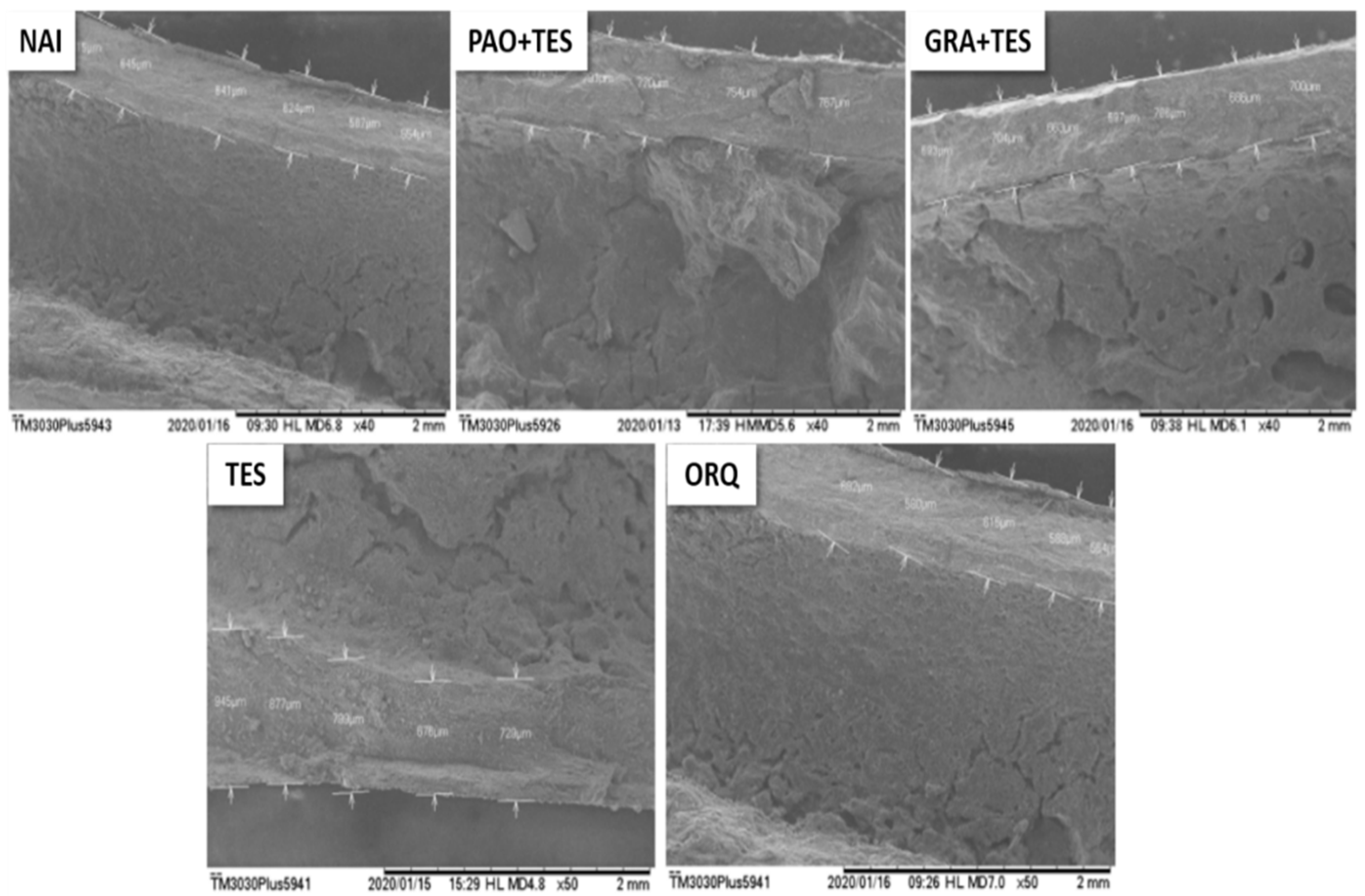 Molecules 26 04720 g006