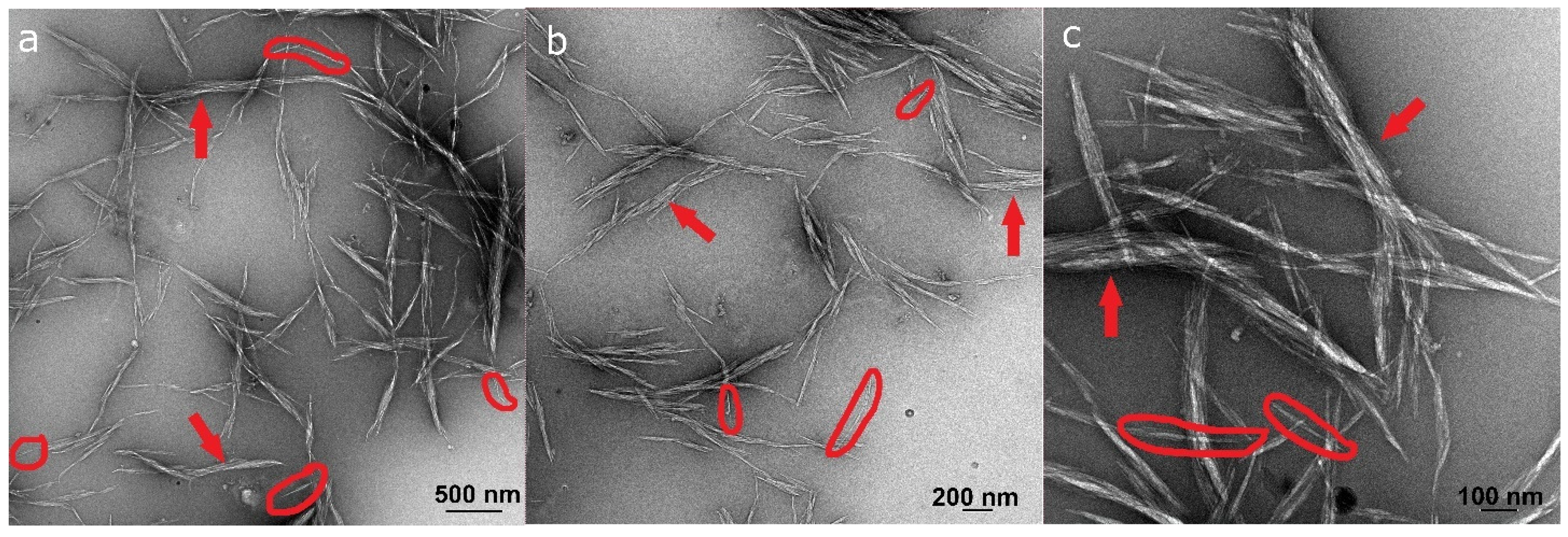 Molecules 26 04723 g007 Molecules 26 04723 g007