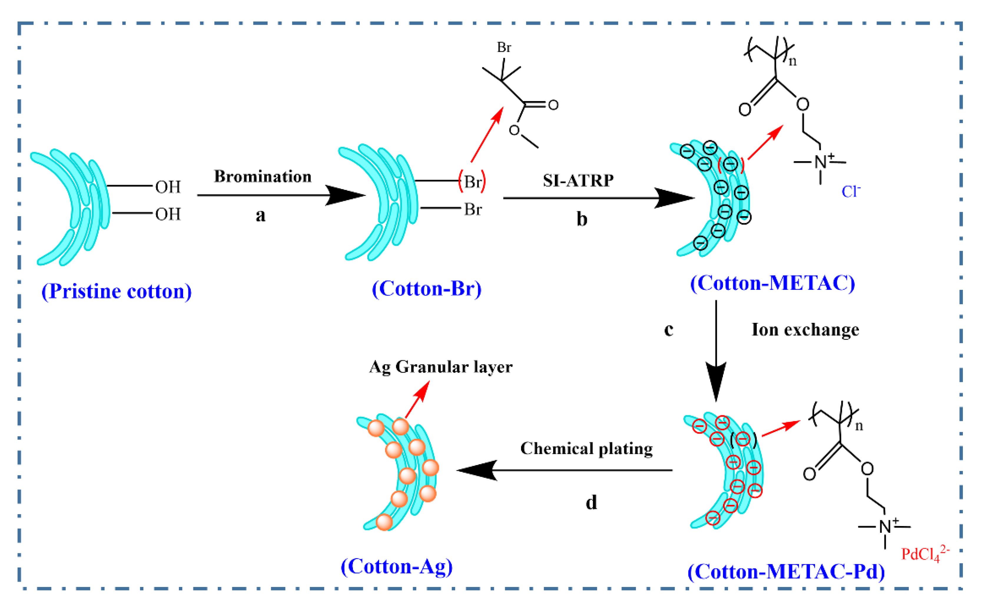 Molecules 26 04731 g001