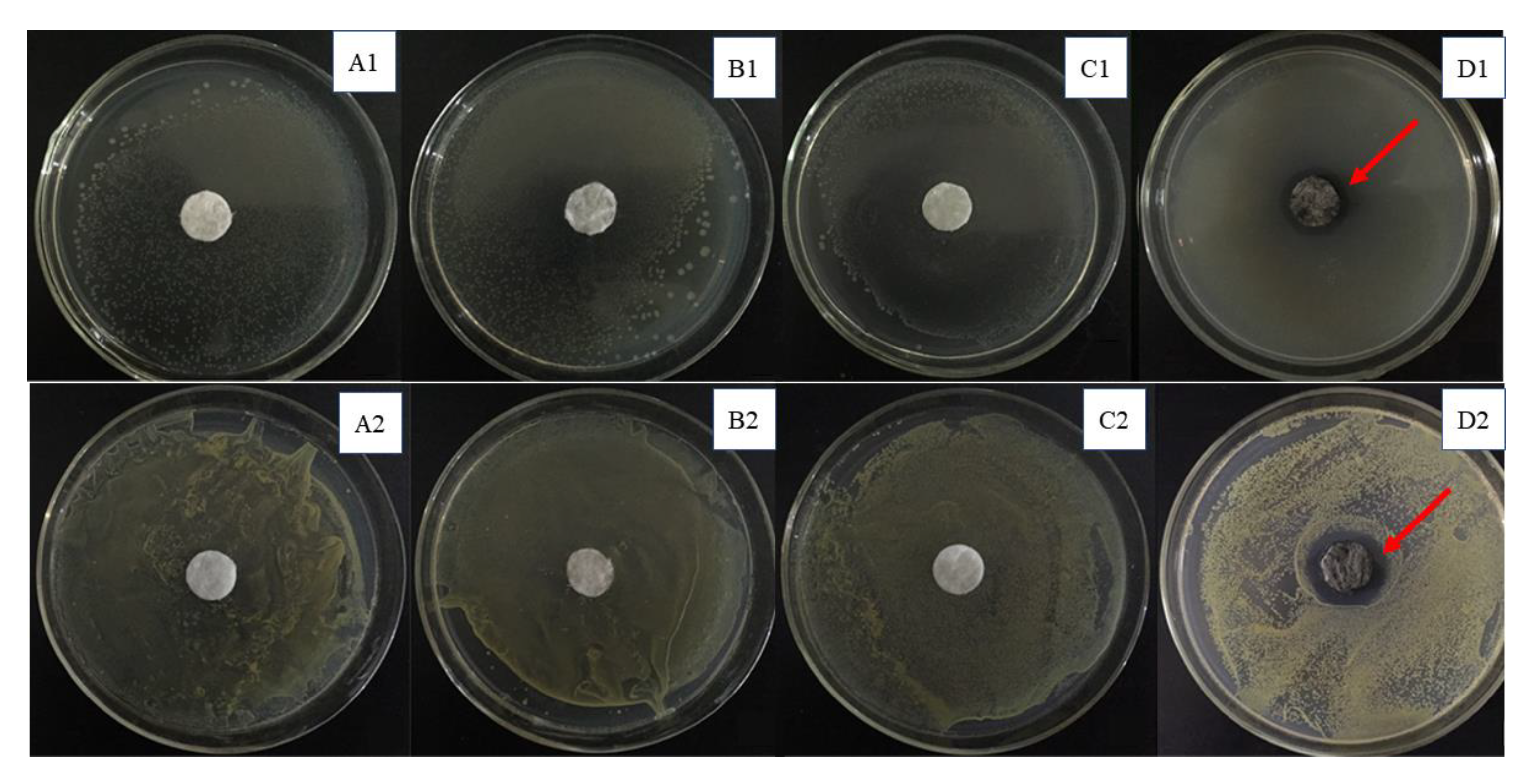 Molecules 26 04731 g008
