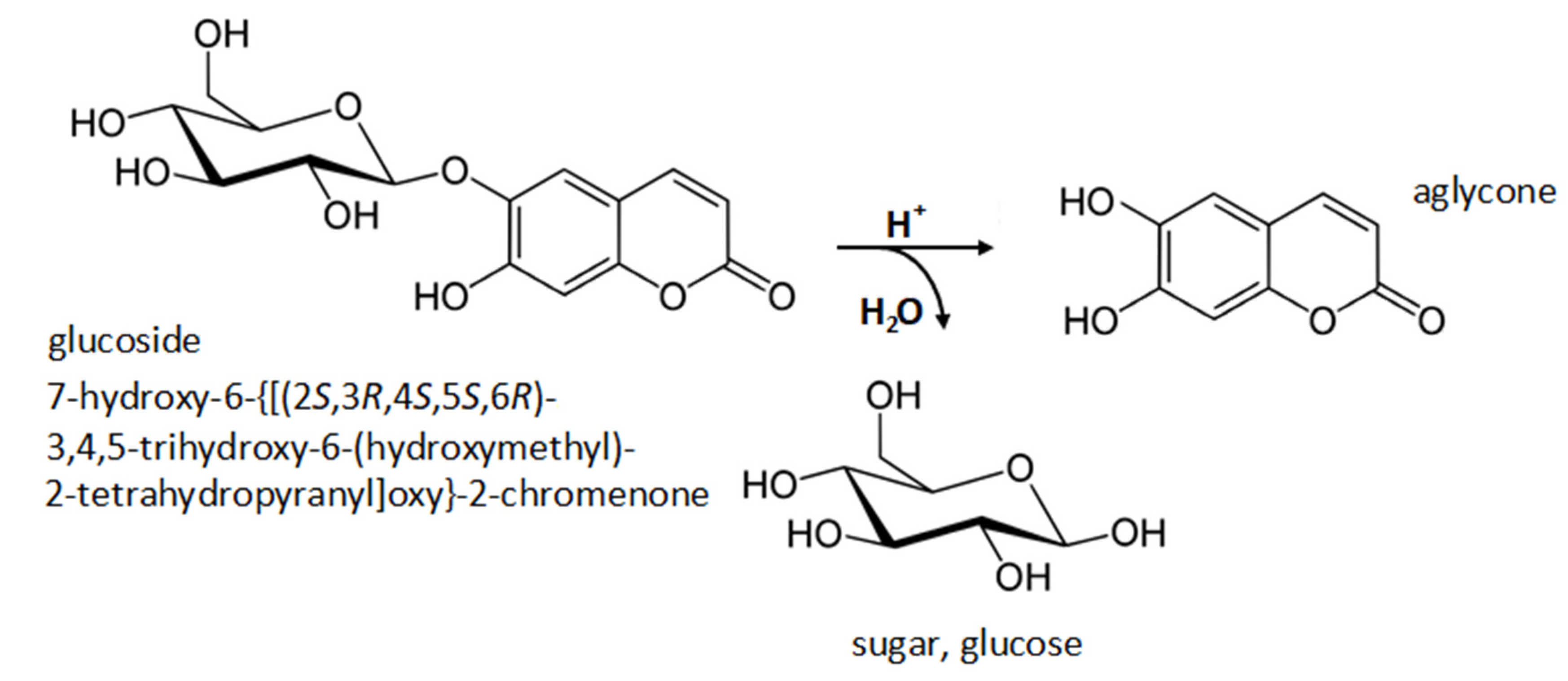 Molecules 26 04734 g002 Molecules 26 04734 g002