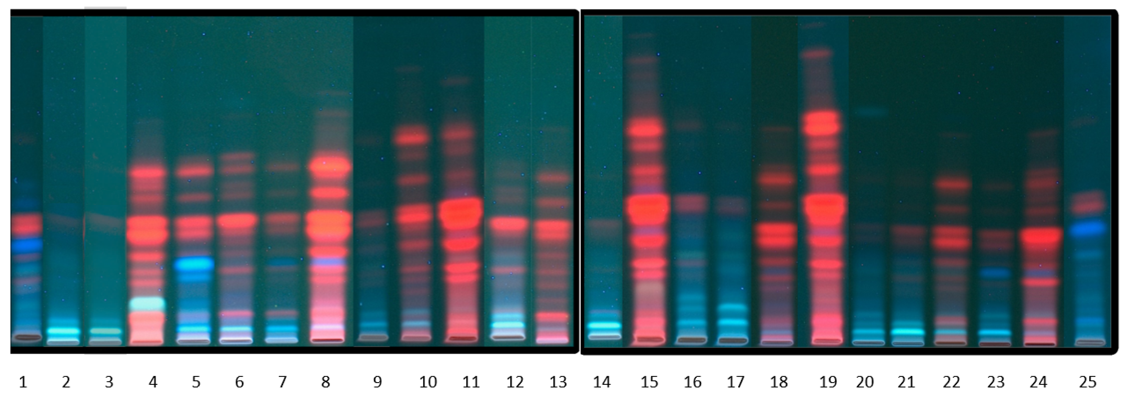 Molecules 26 04734 g003 Molecules 26 04734 g003