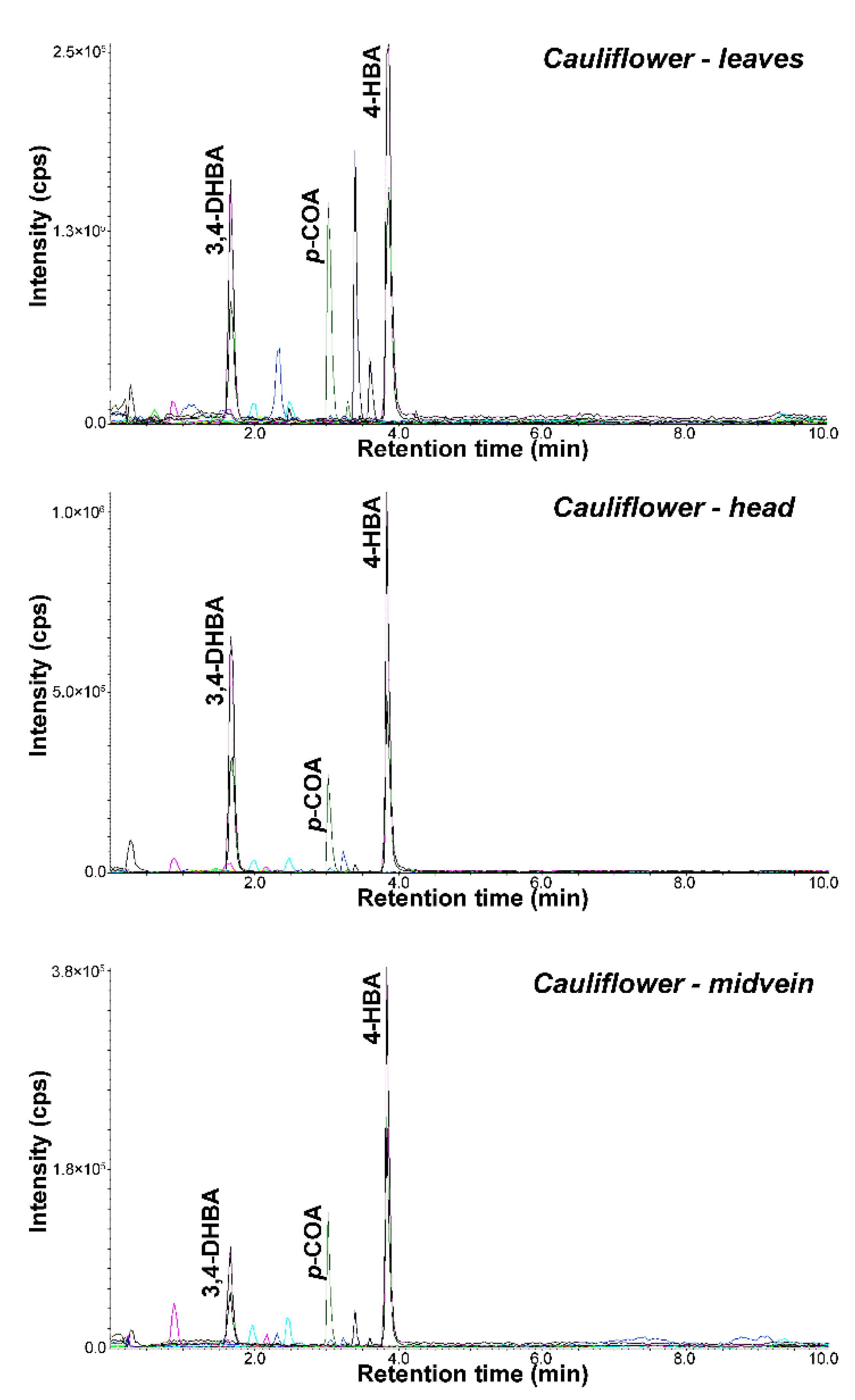 Molecules 26 04734 g006 Molecules 26 04734 g006