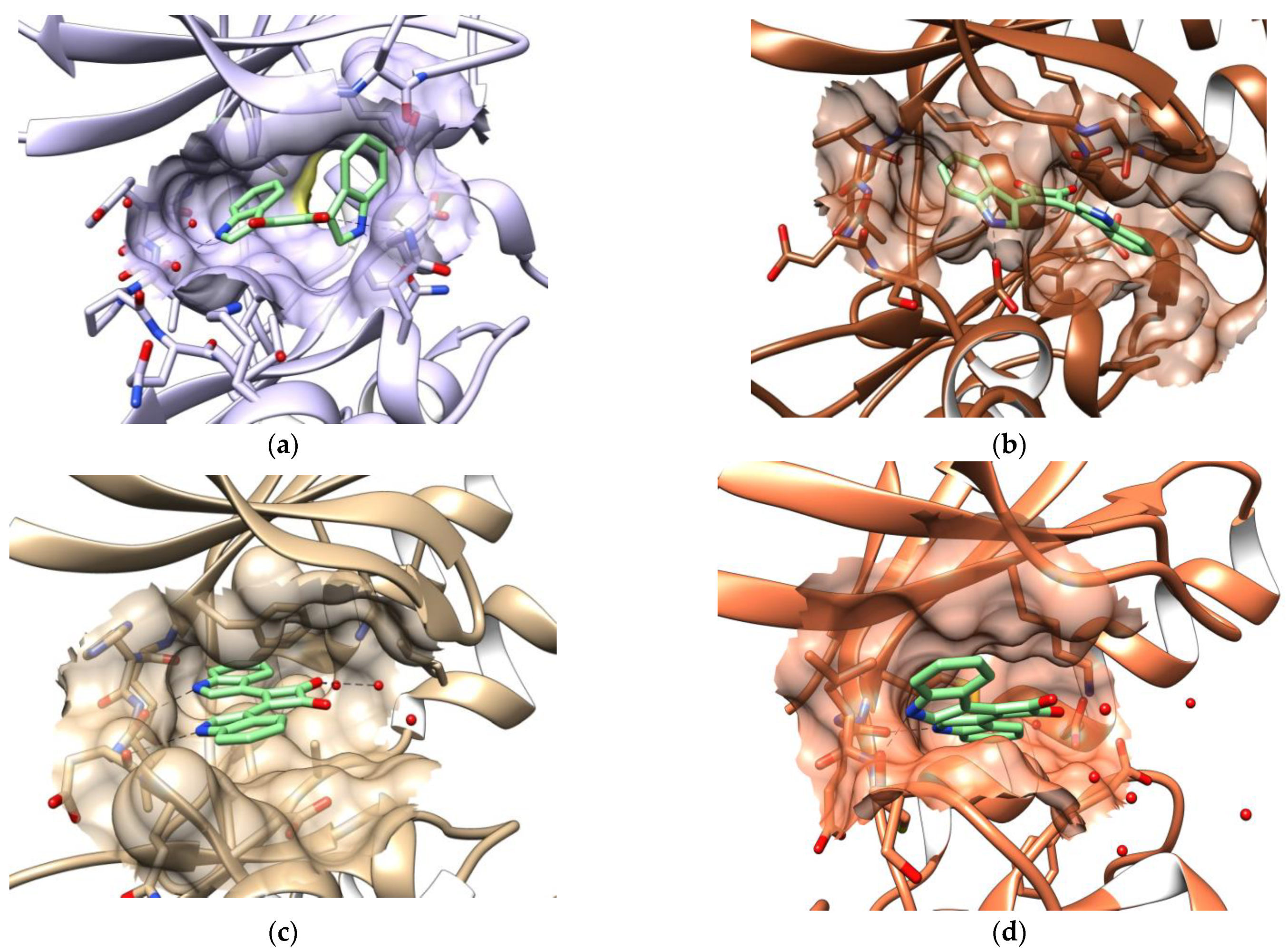 Molecules 26 04739 g002a