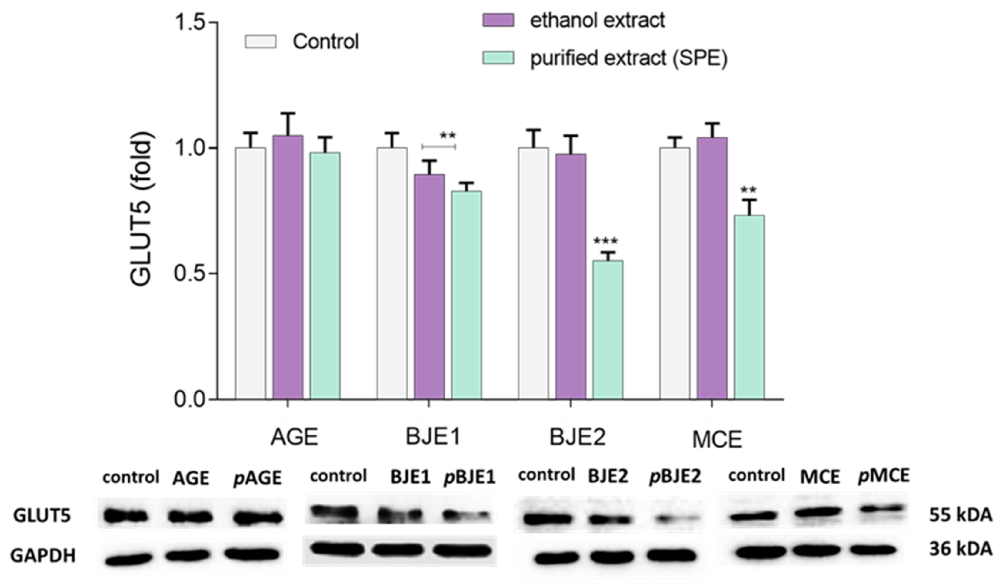 Molecules 26 04745 g007