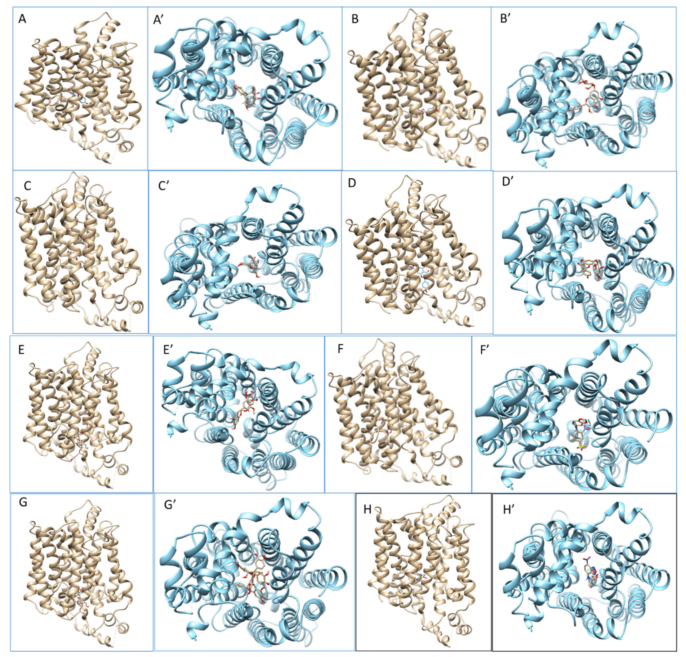 Molecules 26 04745 g009