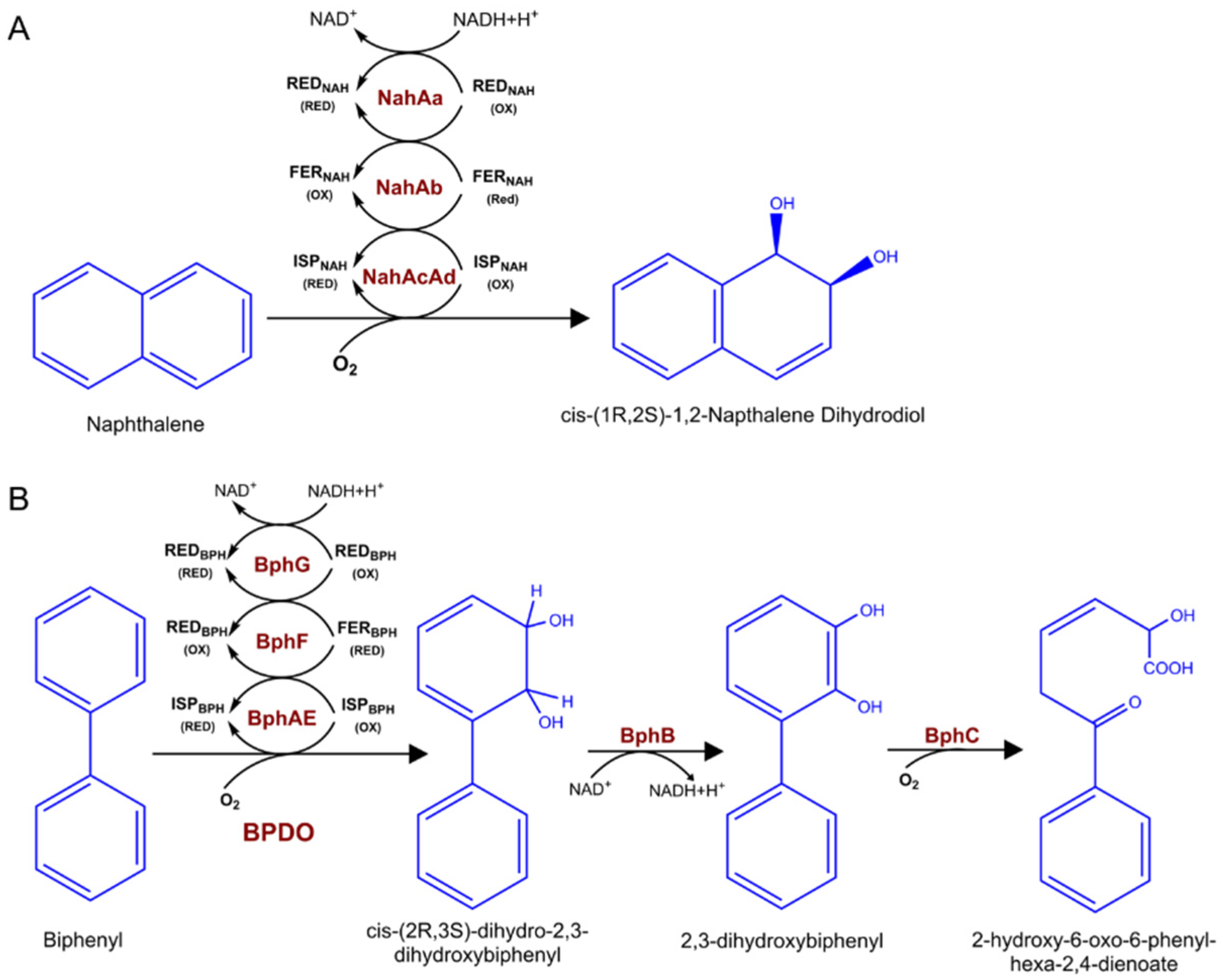 Molecules 26 04751 g002