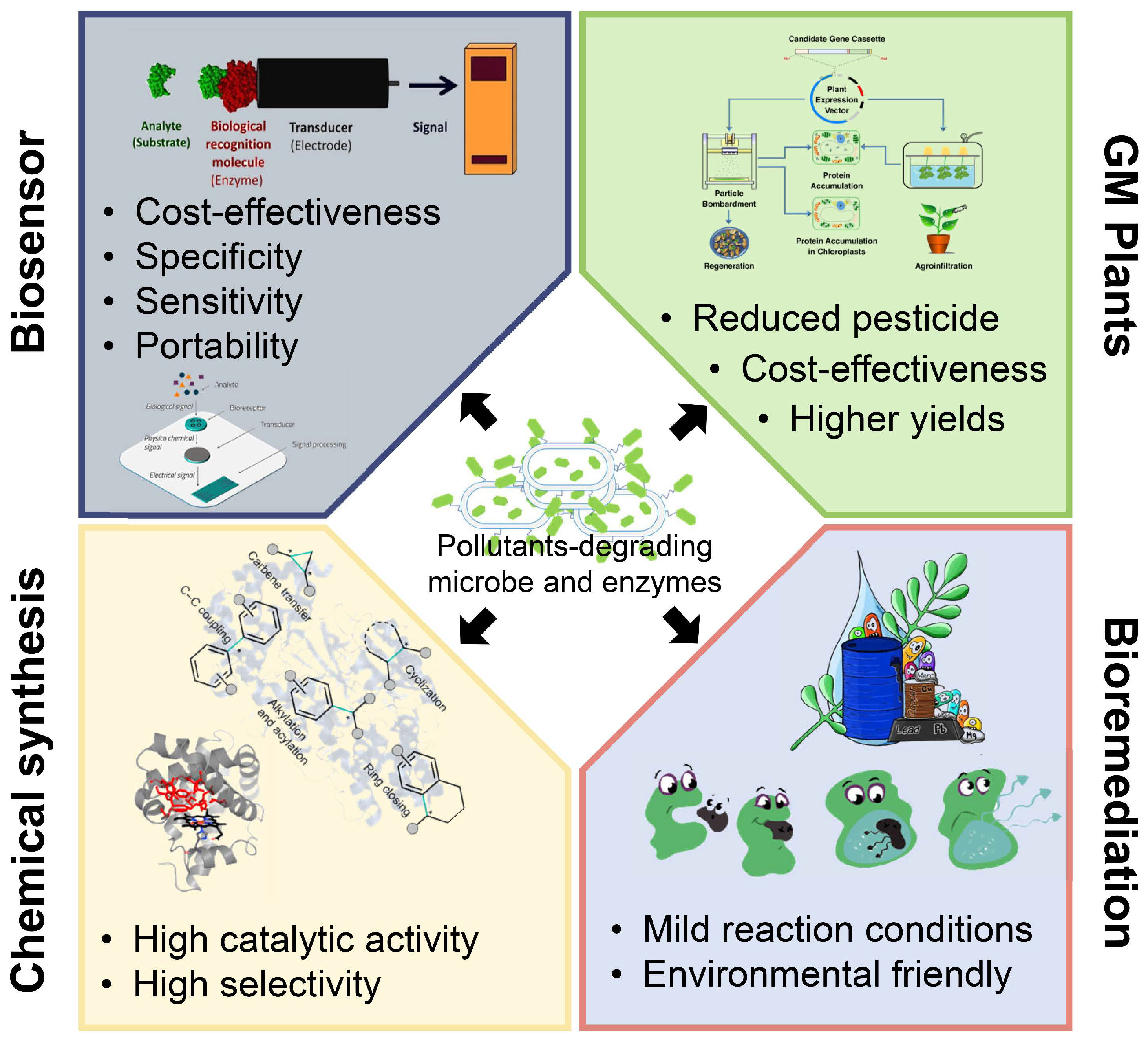 Molecules 26 04751 g005
