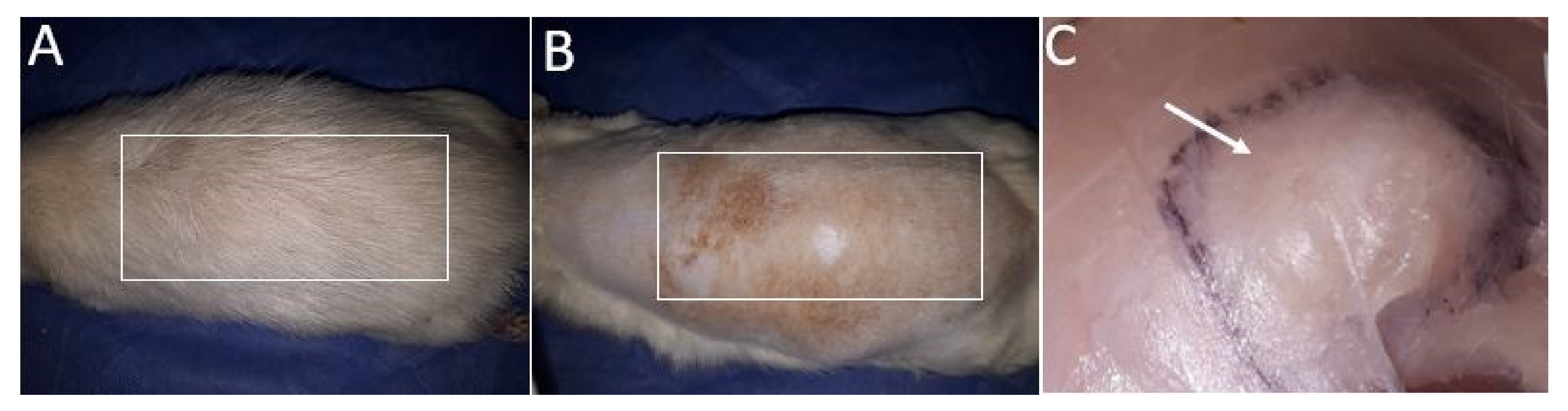 Molecules 26 04753 g006