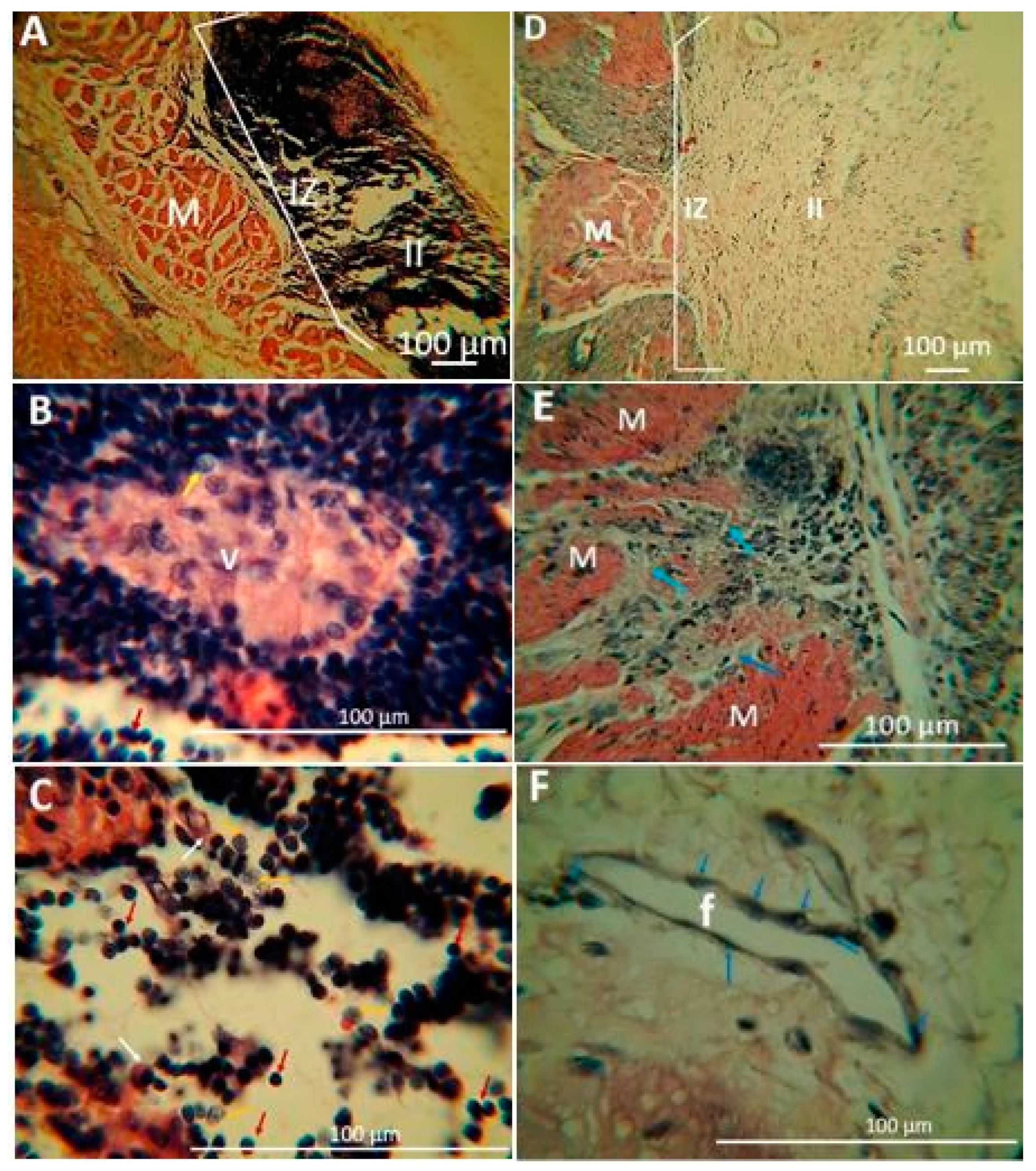 Molecules 26 04753 g009