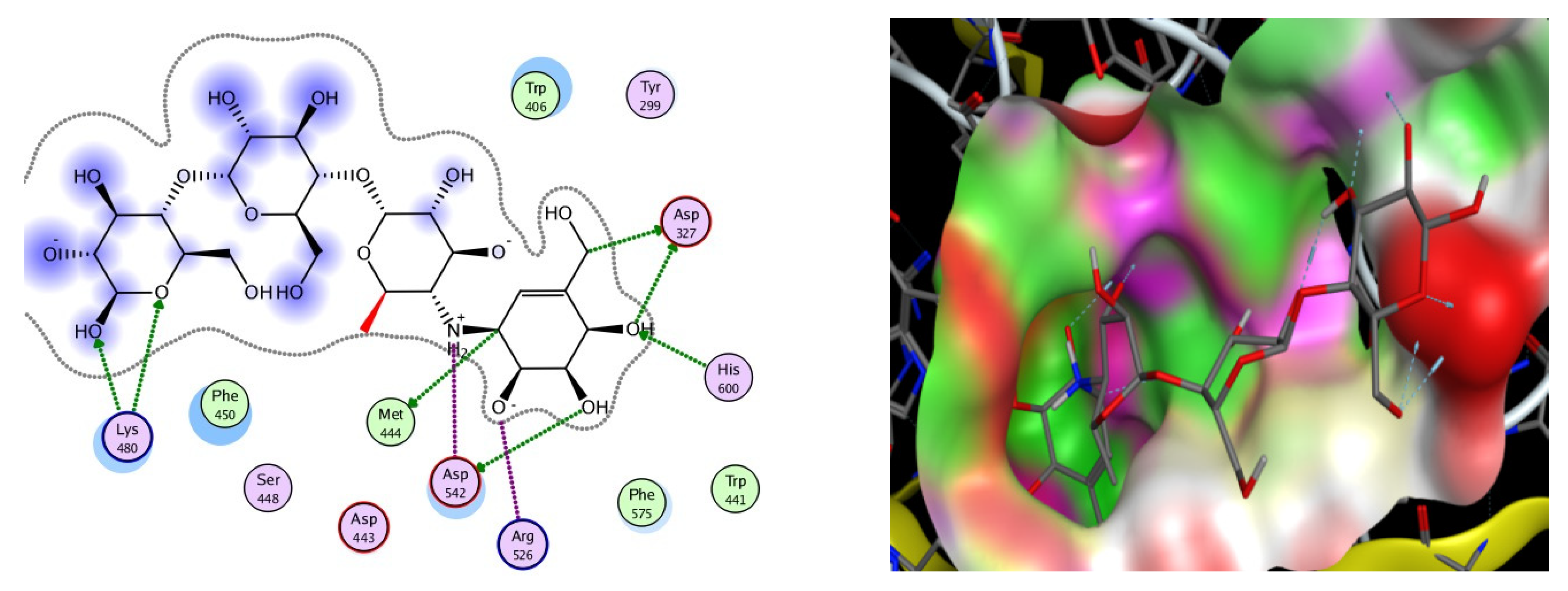 Molecules 26 04760 g004