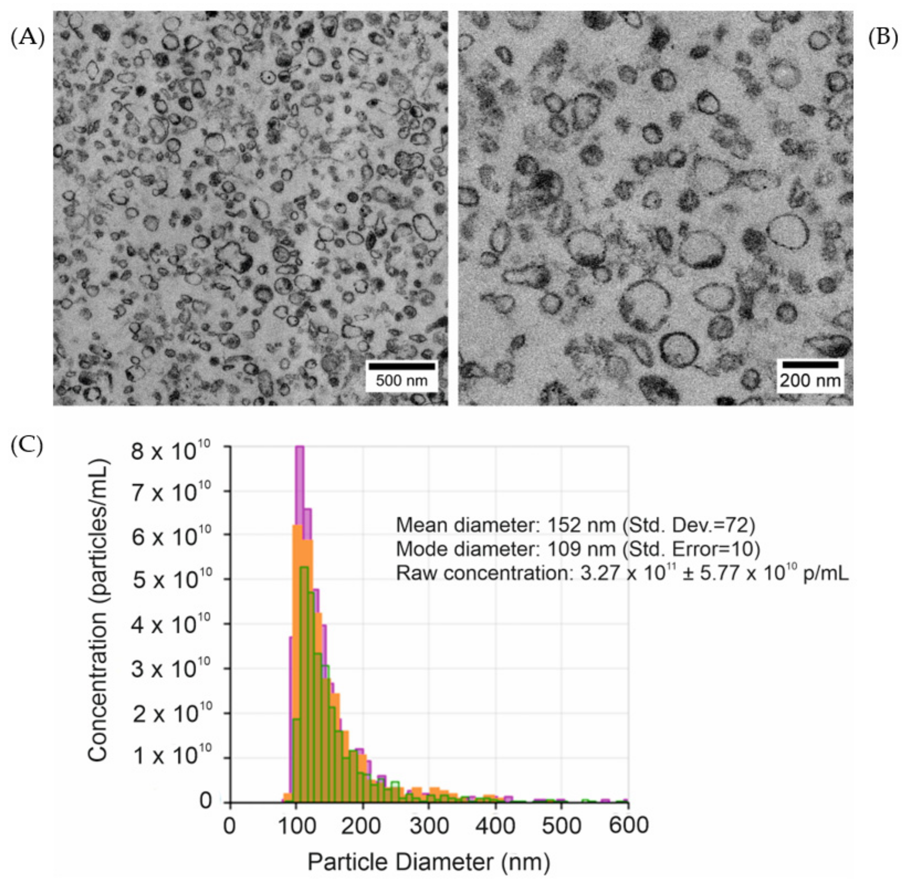 Molecules 26 04764 g001
