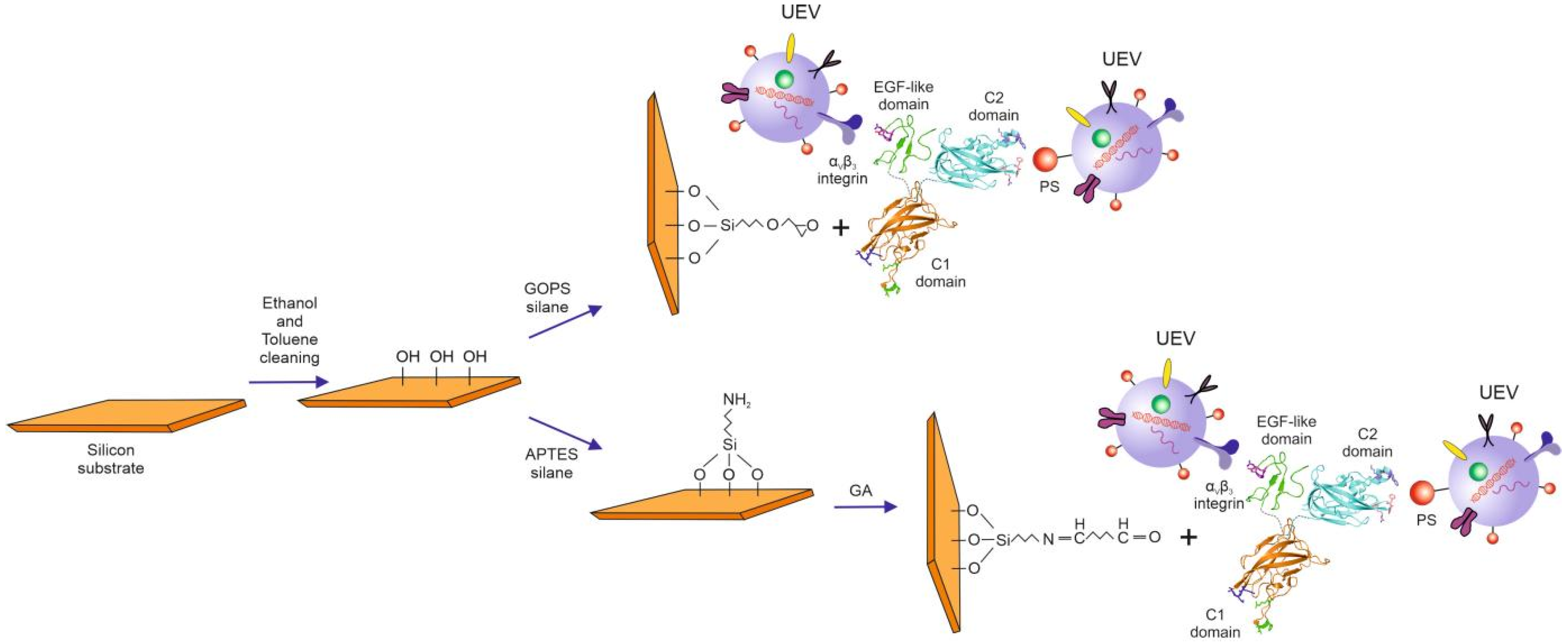 Molecules 26 04764 g010