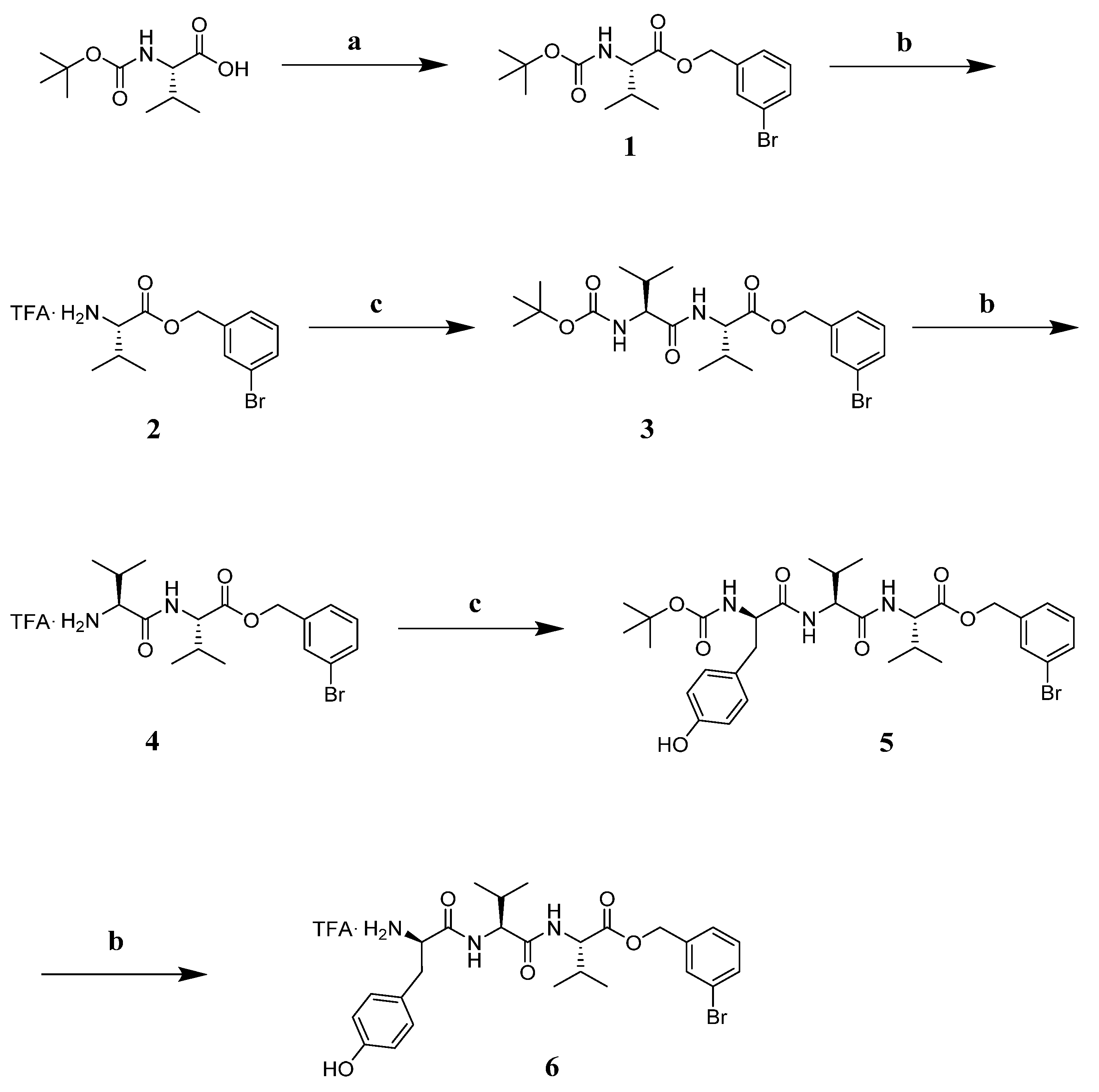 Molecules 26 04767 sch001