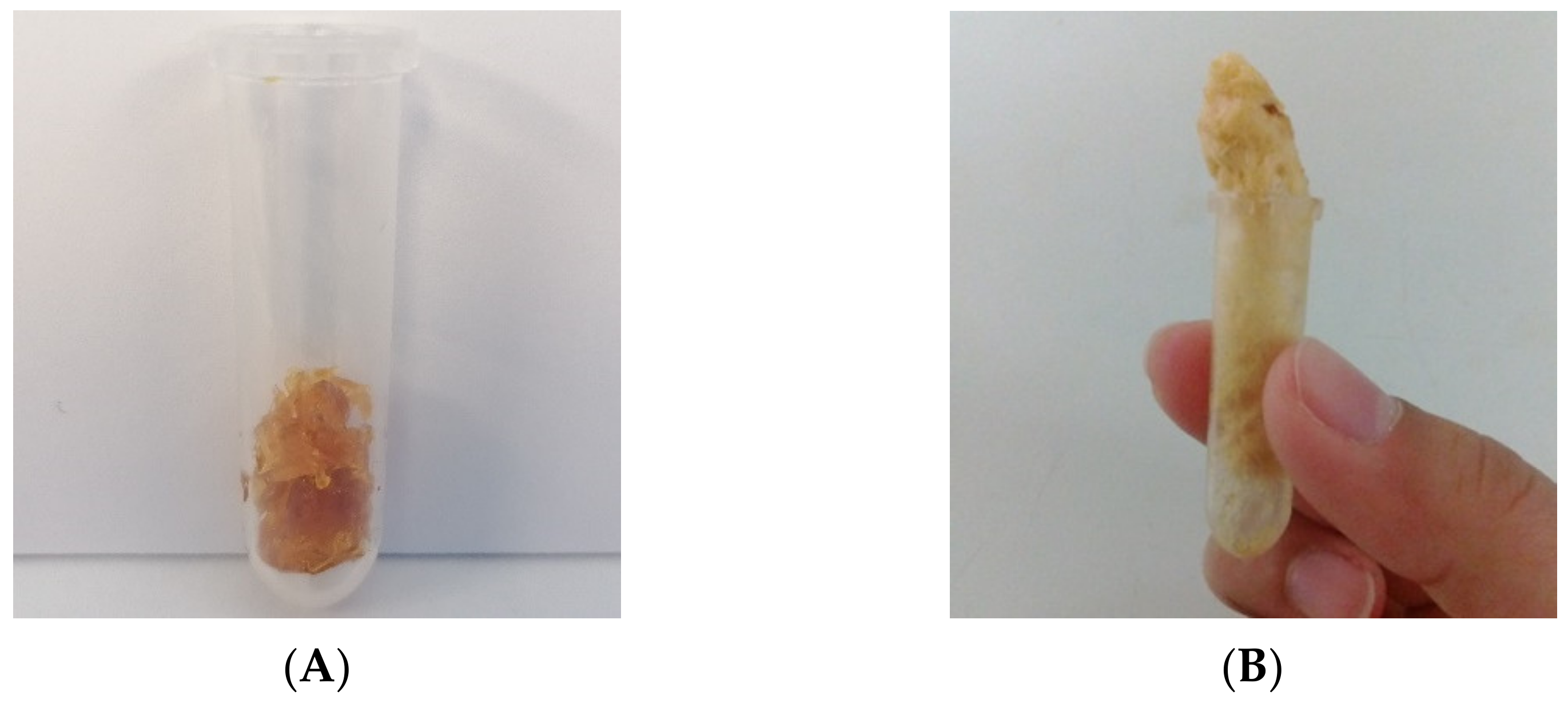 Molecules 26 04772 g003