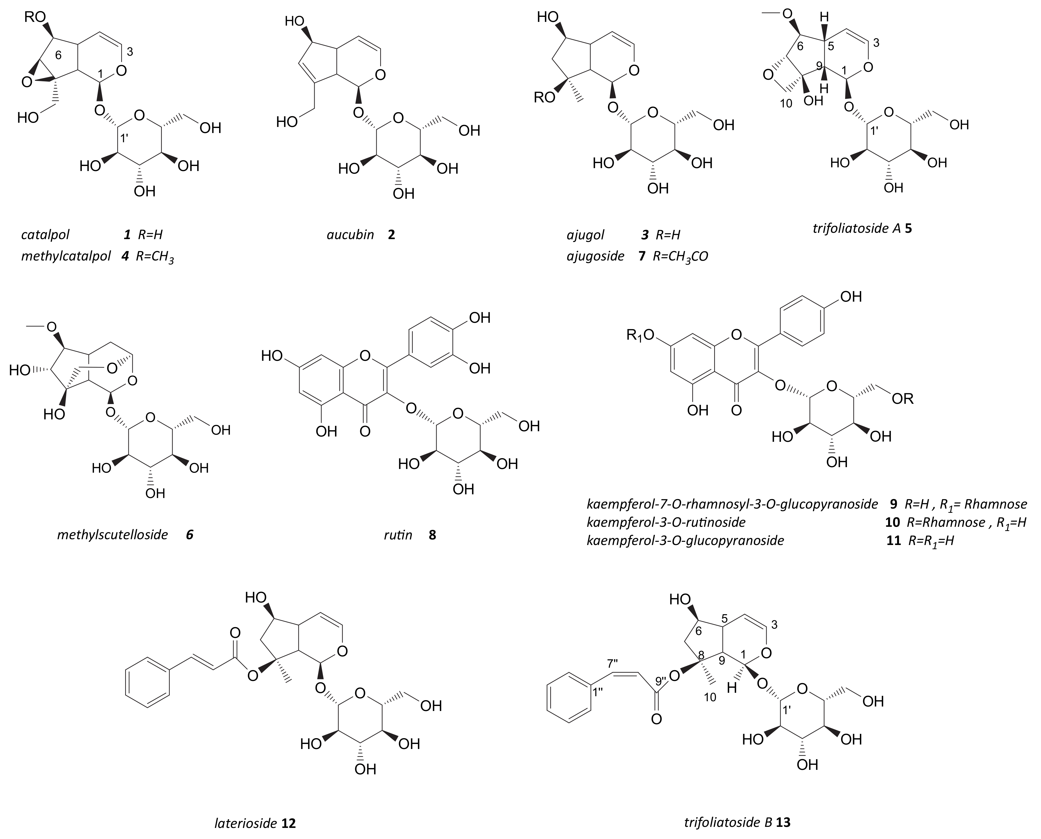 Molecules 26 04777 g005