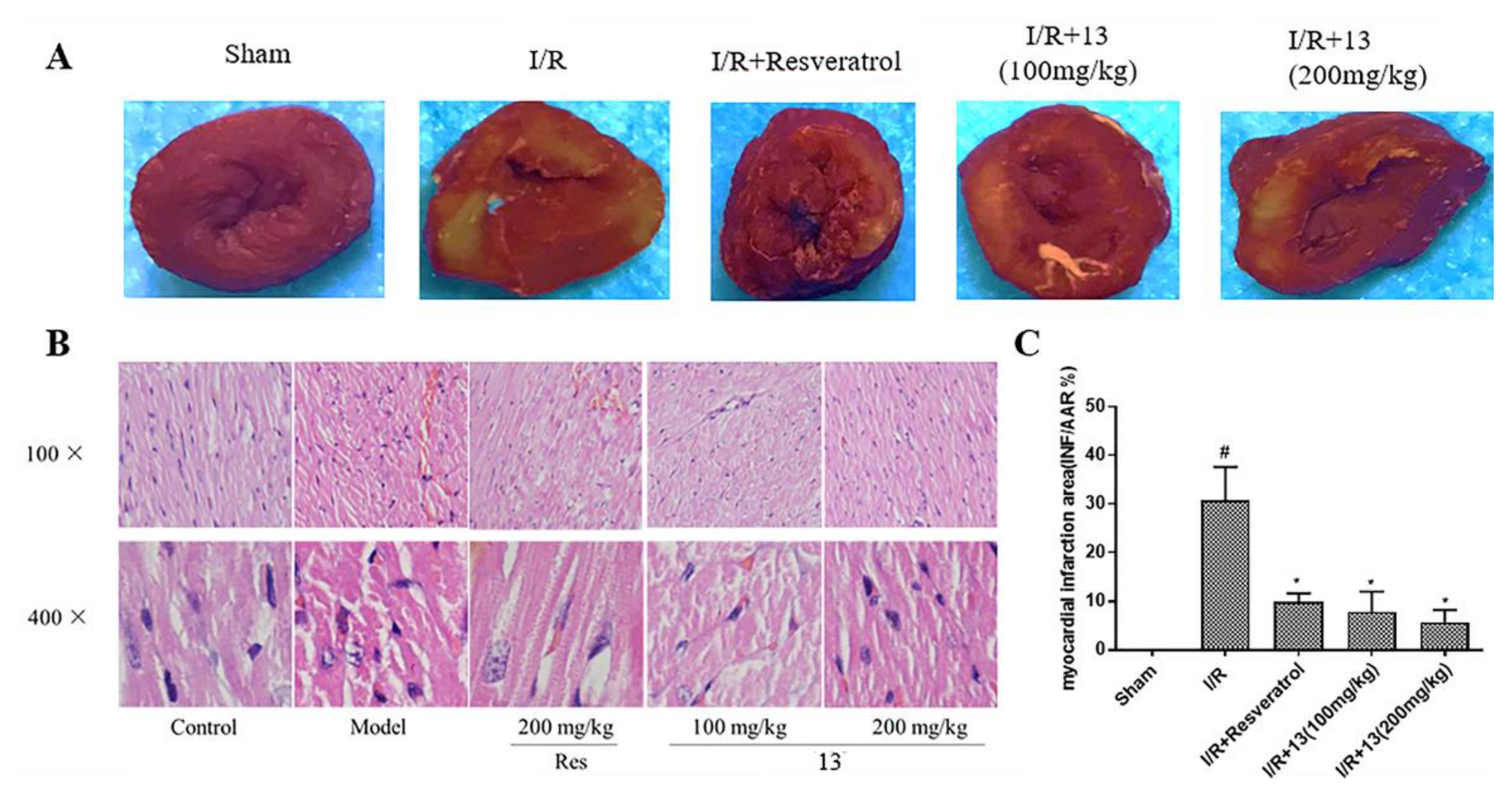 Molecules 26 04779 g010