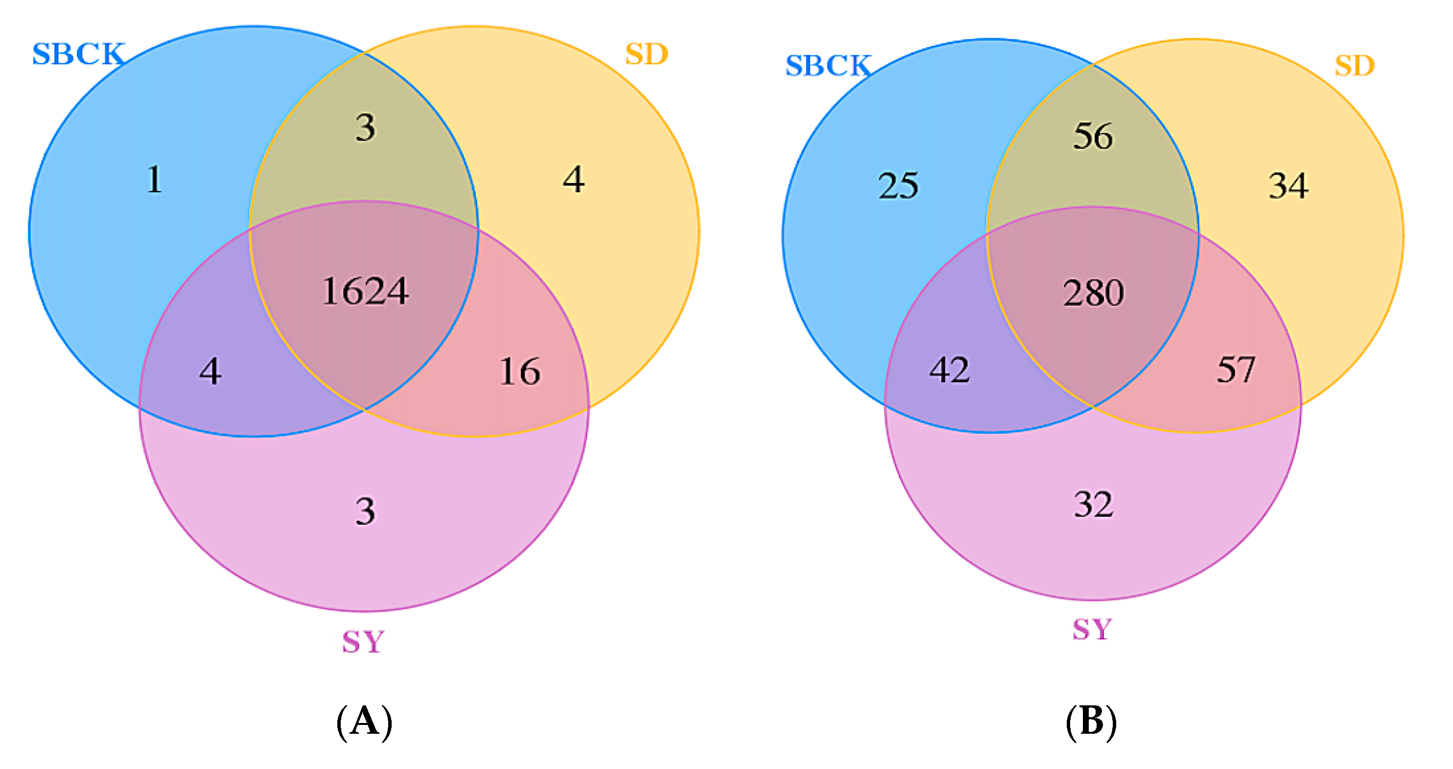 Molecules 26 04783 g005
