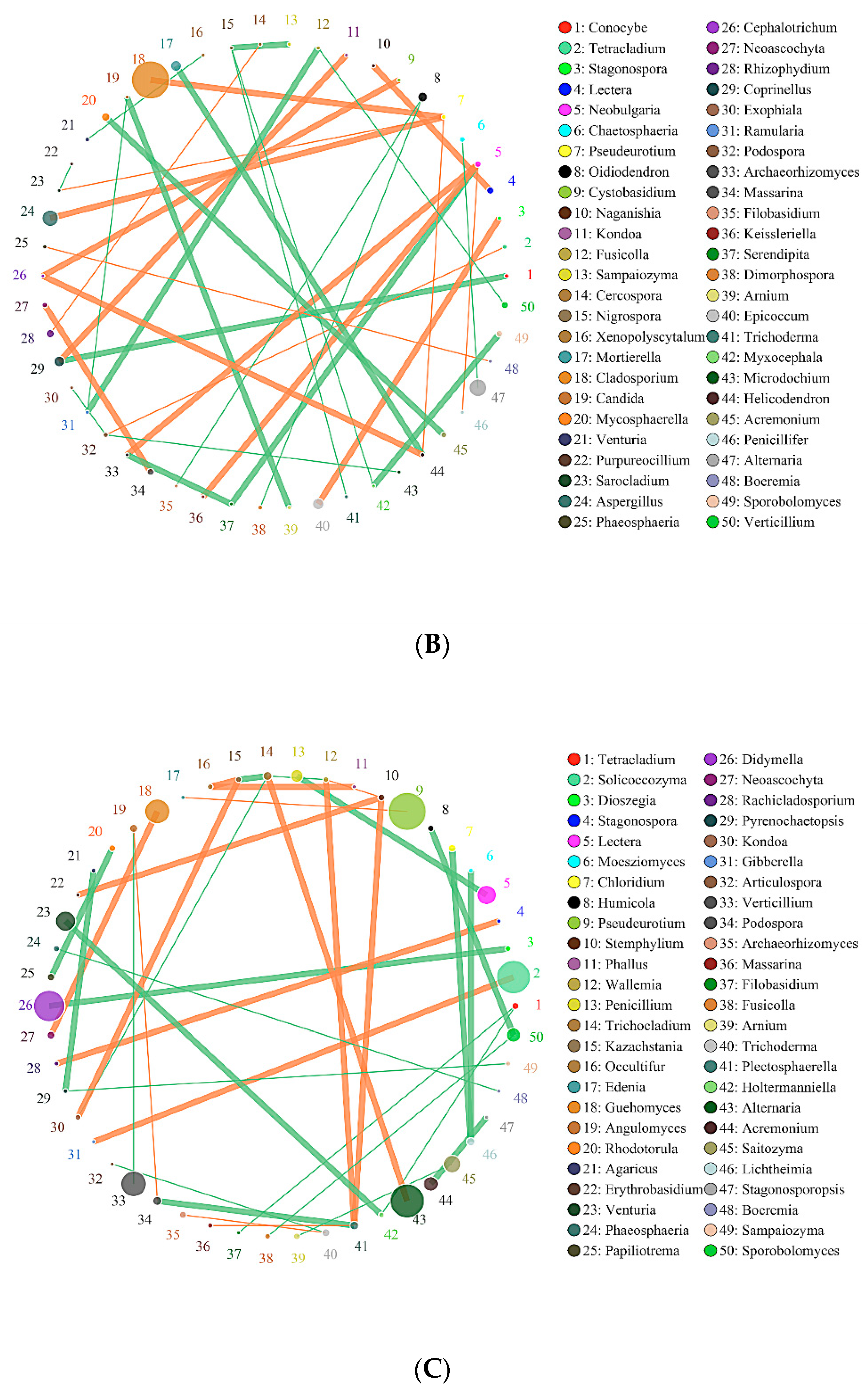 Molecules 26 04783 g007b