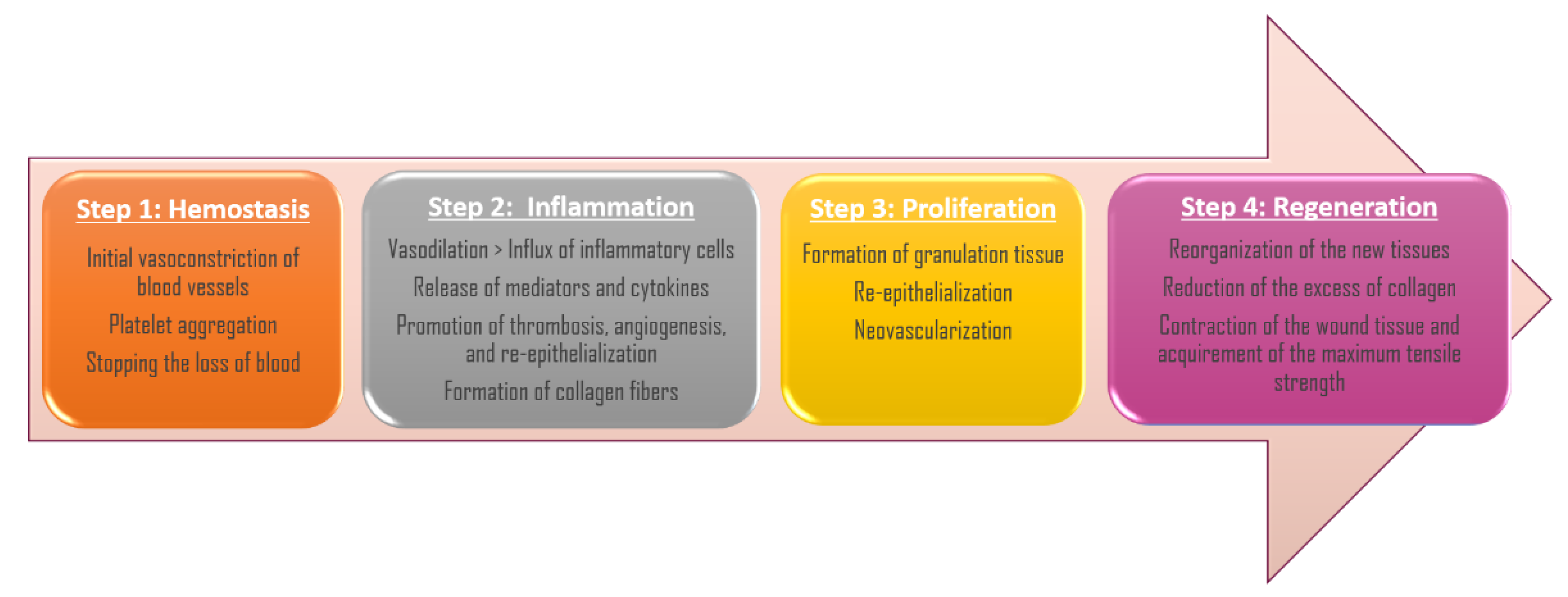 Molecules 26 04784 g001