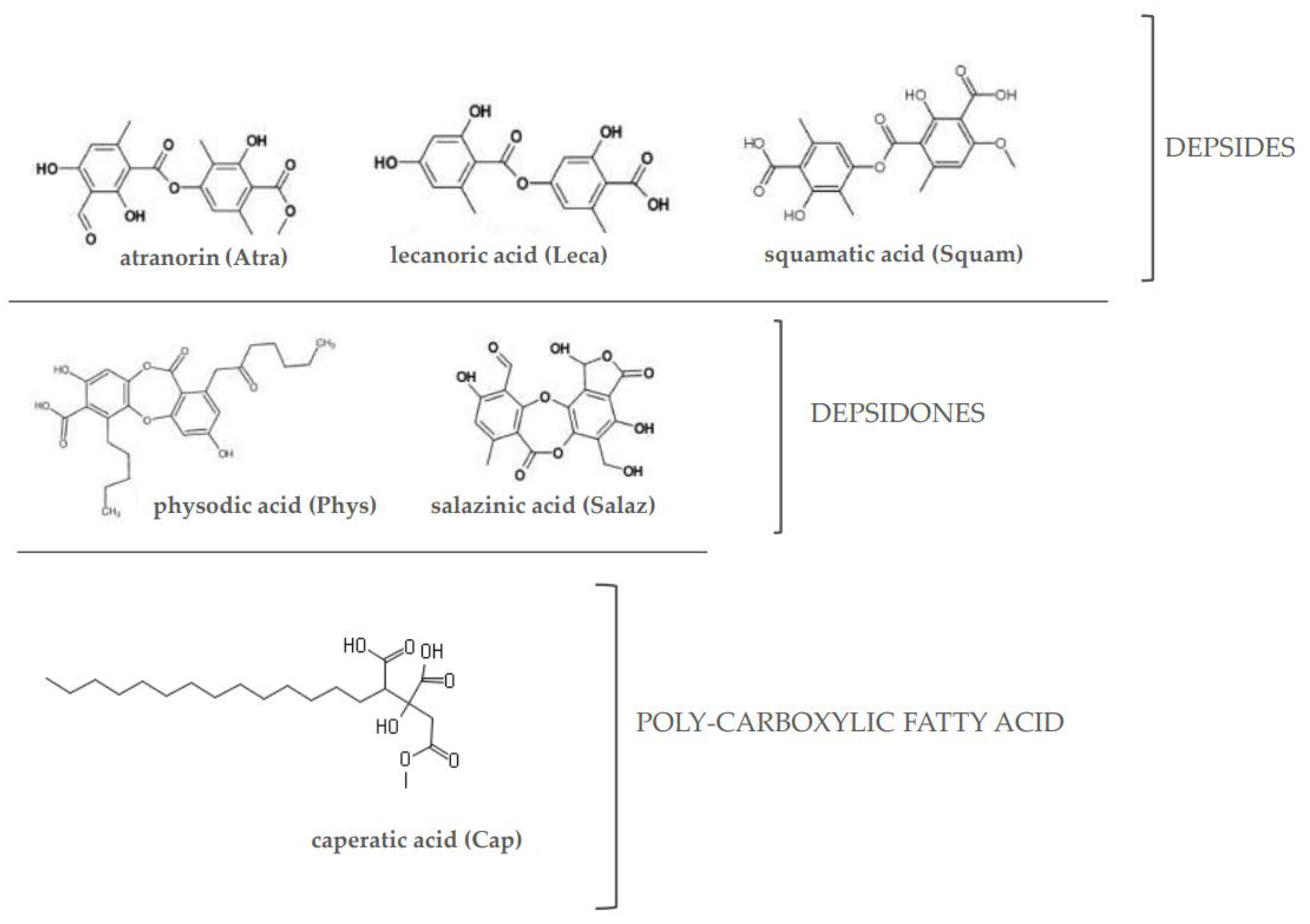Molecules 26 04787 g001