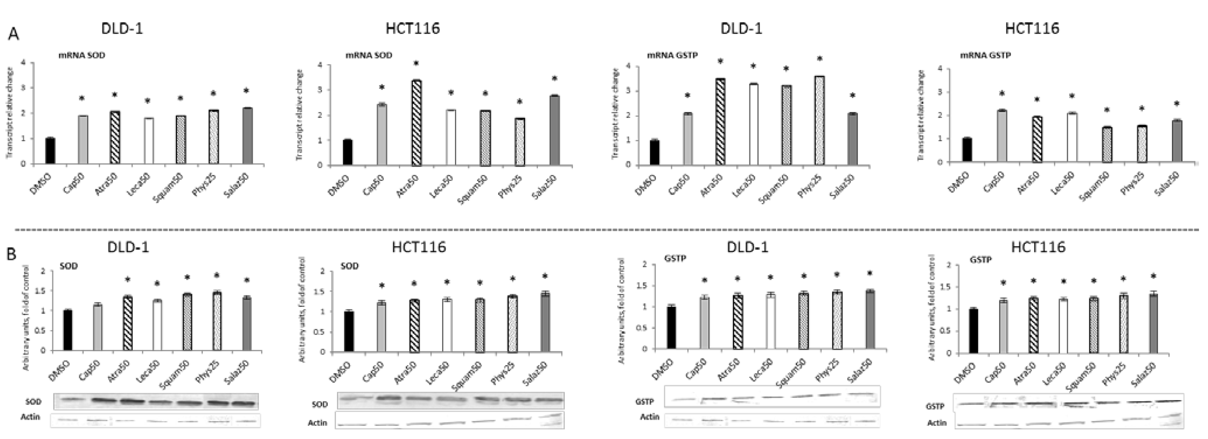 Molecules 26 04787 g004