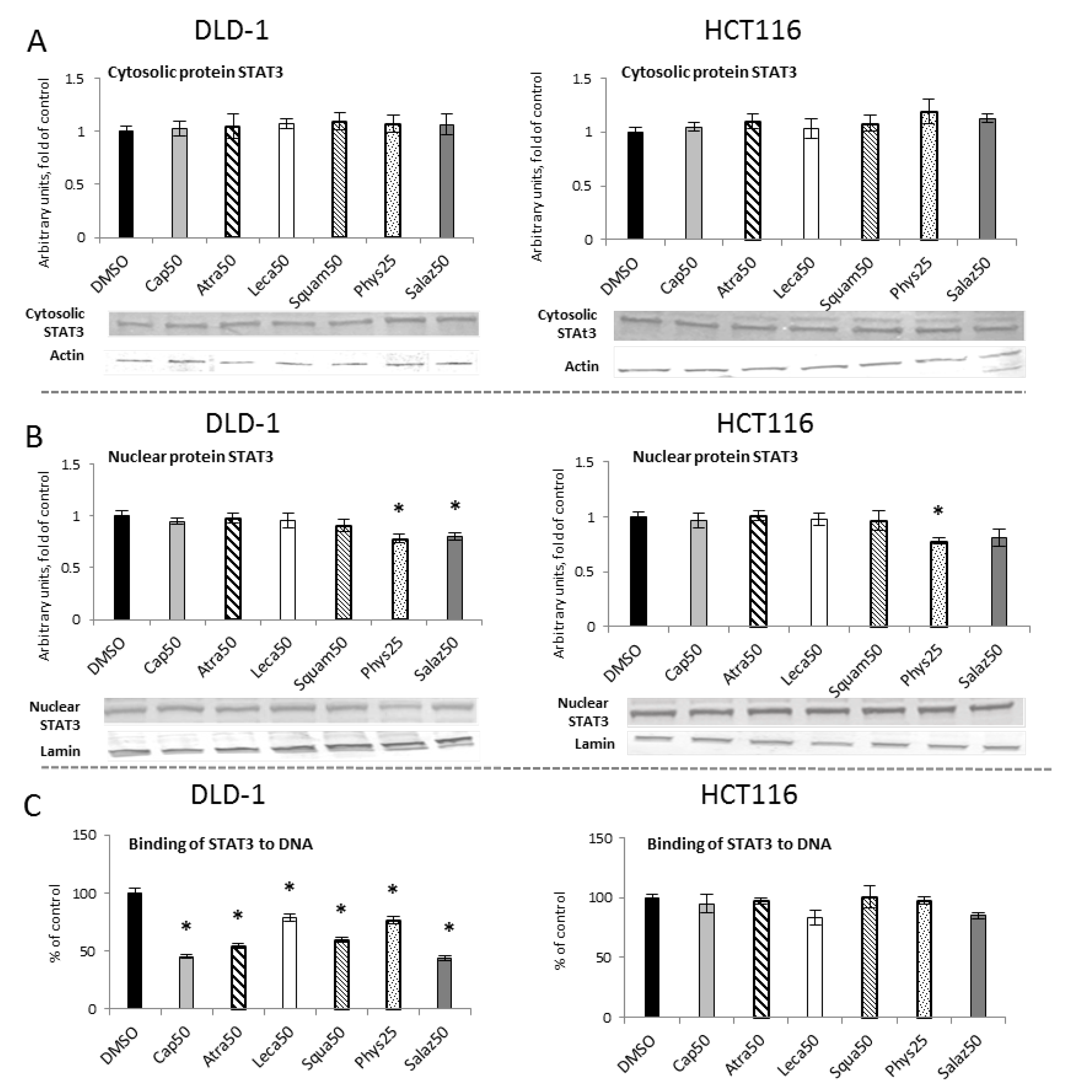 Molecules 26 04787 g009