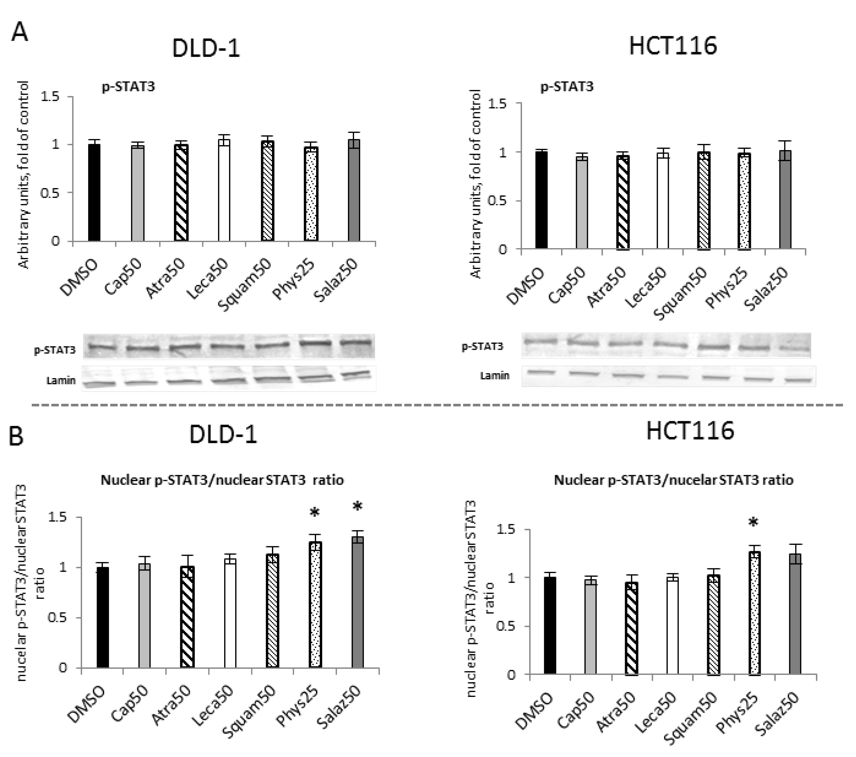 Molecules 26 04787 g010