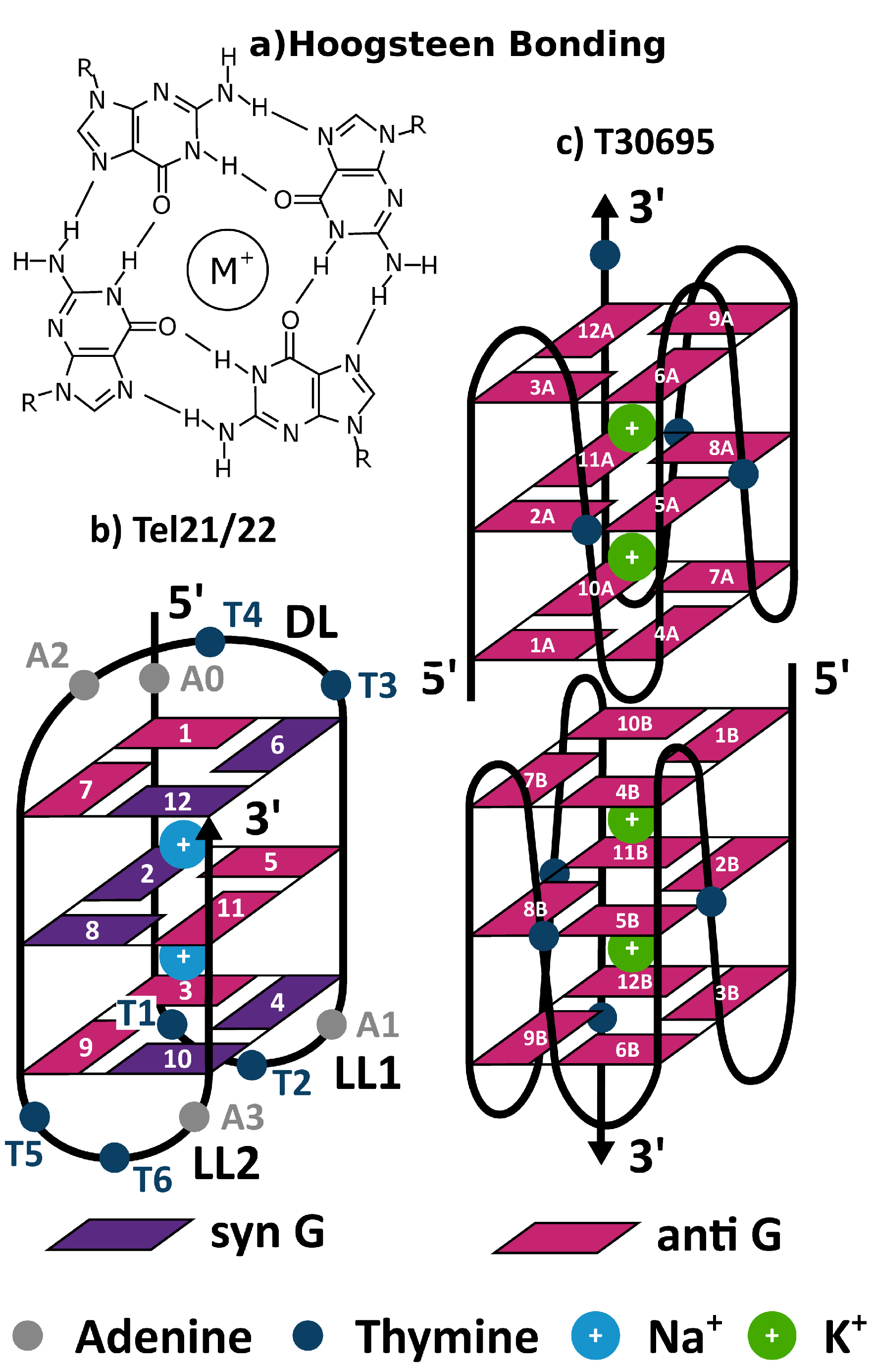 Molecules 26 04789 g001 Molecules 26 04789 g001